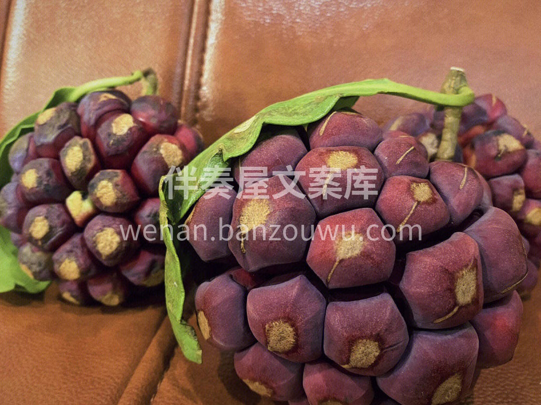 🐯黑老虎为聚合果，是由许多小果子共同组成 配图3