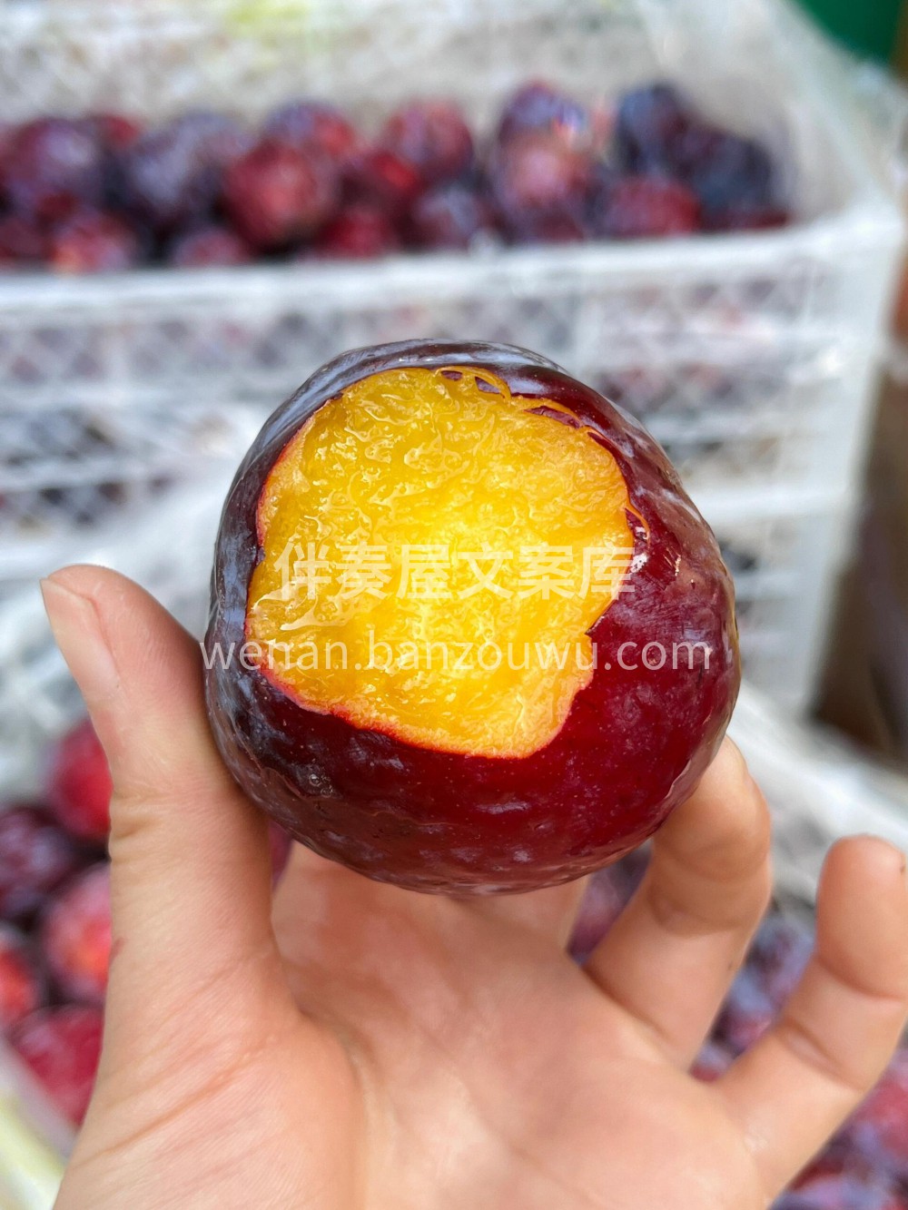 颜色很漂亮的李子?好货不断、智利紫蜜李? 配图3