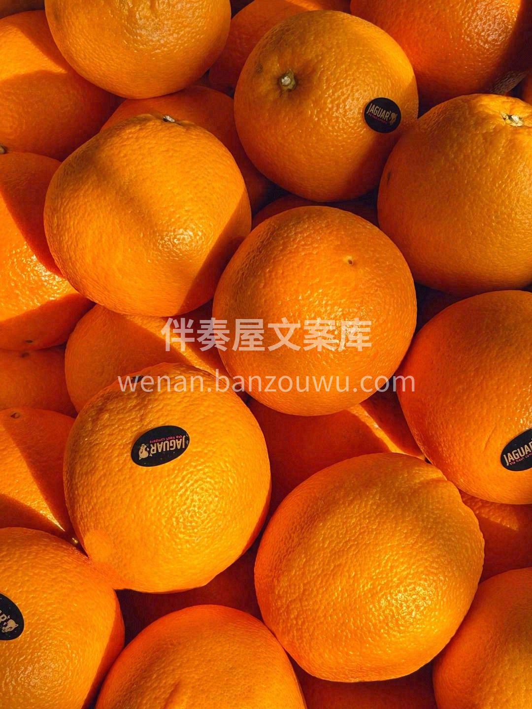 清晨一口脆甜🍎午后一份多汁🍊 忙碌的生活 配图3