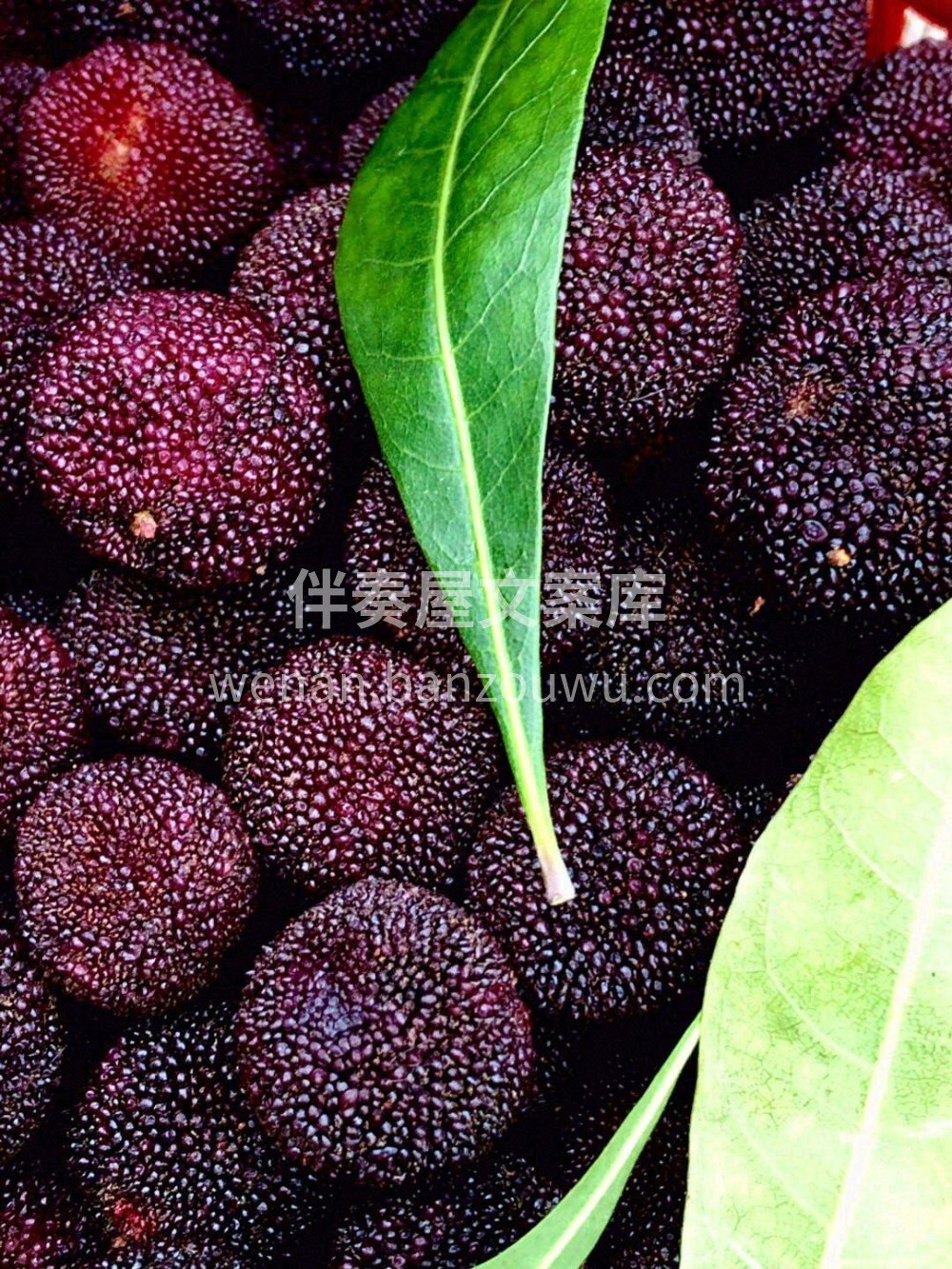 一颗好吃的杨梅?夏天的味道❤️​ 既有甜 配图1