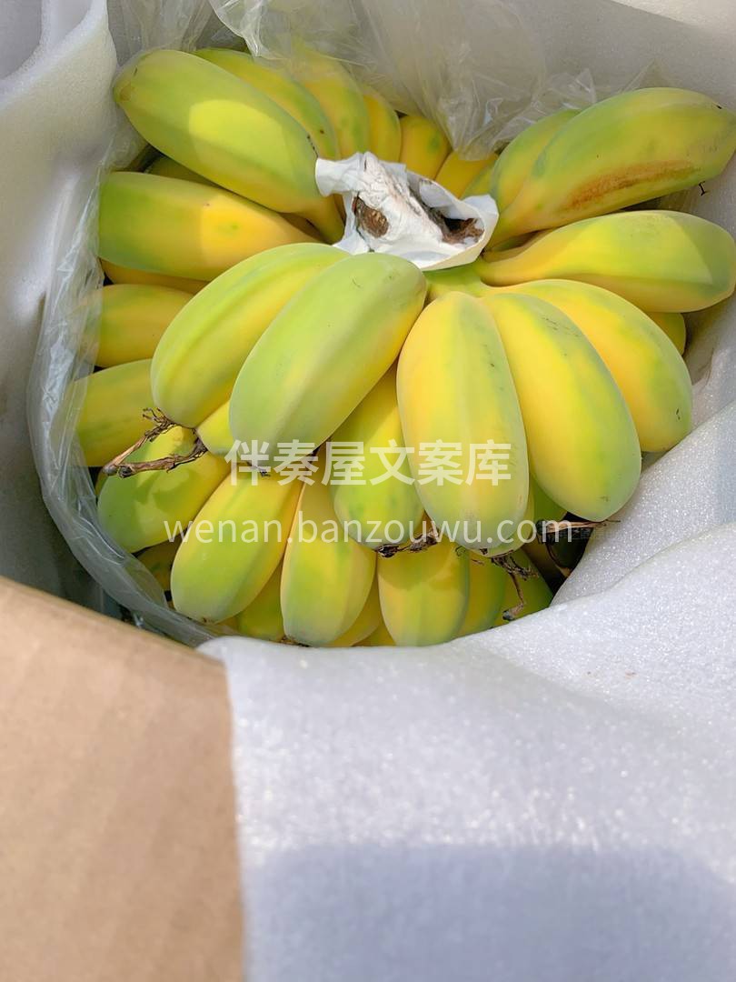 ⛳️网红苹果蕉 浓郁的香蕉味，扑鼻而来  配图1