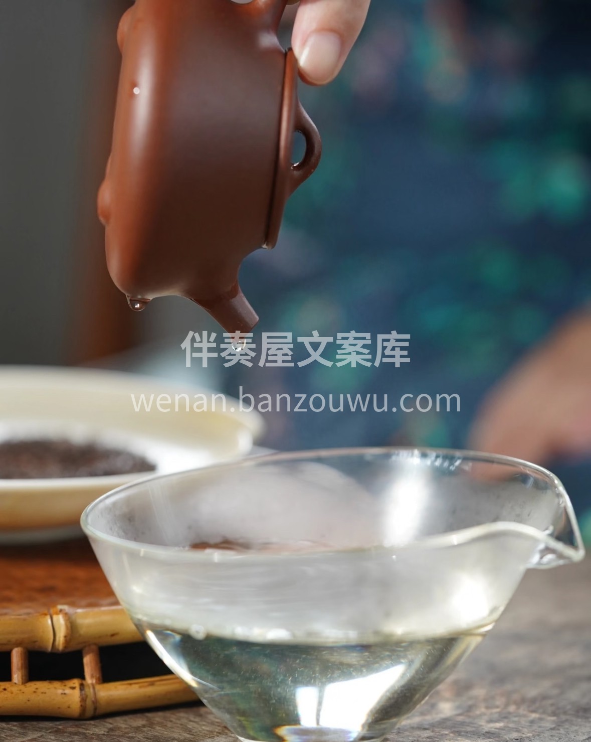 寻味黄茶，首选沩山毛尖。干茶显毫，冲泡后 配图3