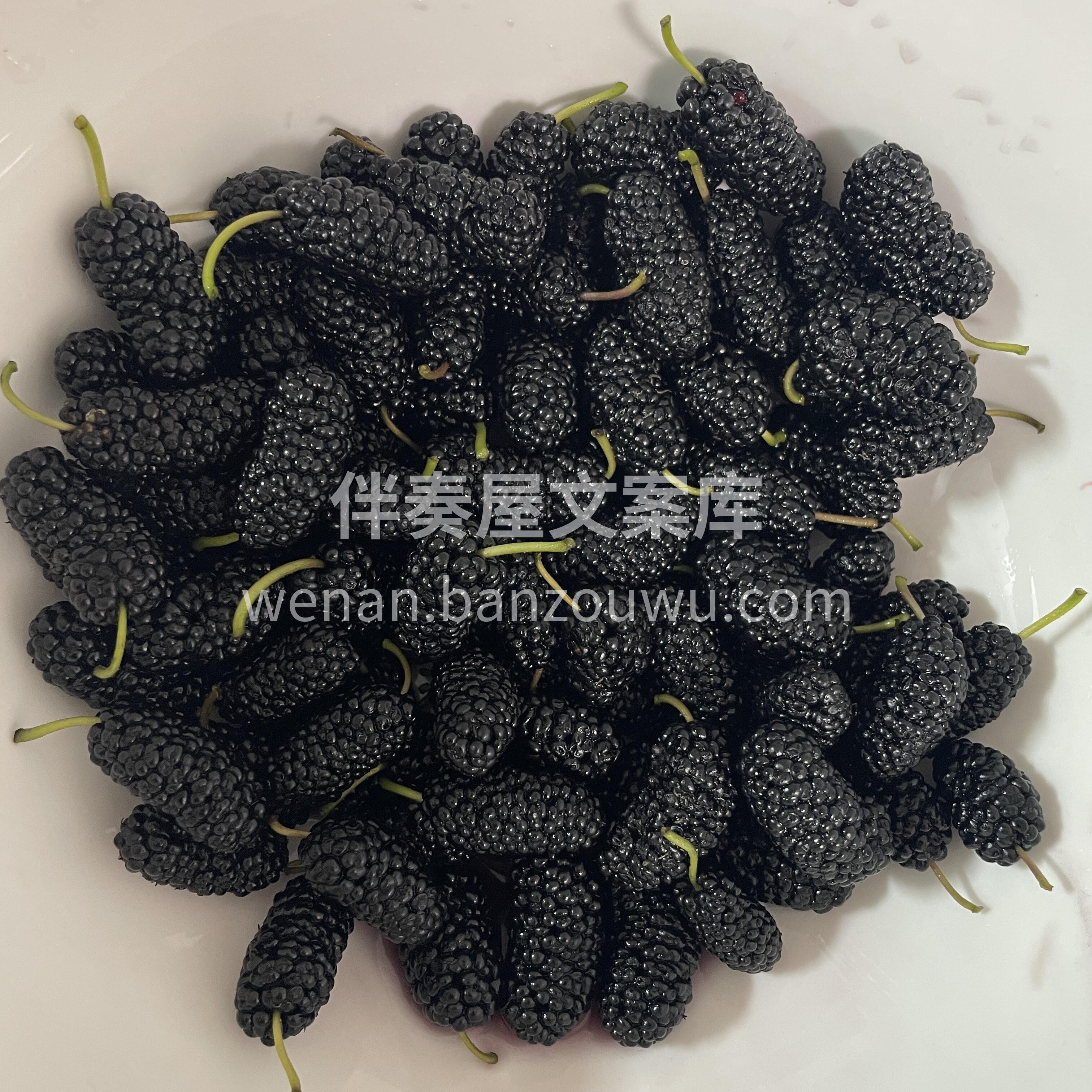 🍇 桑葚熟啦！ 果粒饱满，甜美爆汁，酸甜 配图1