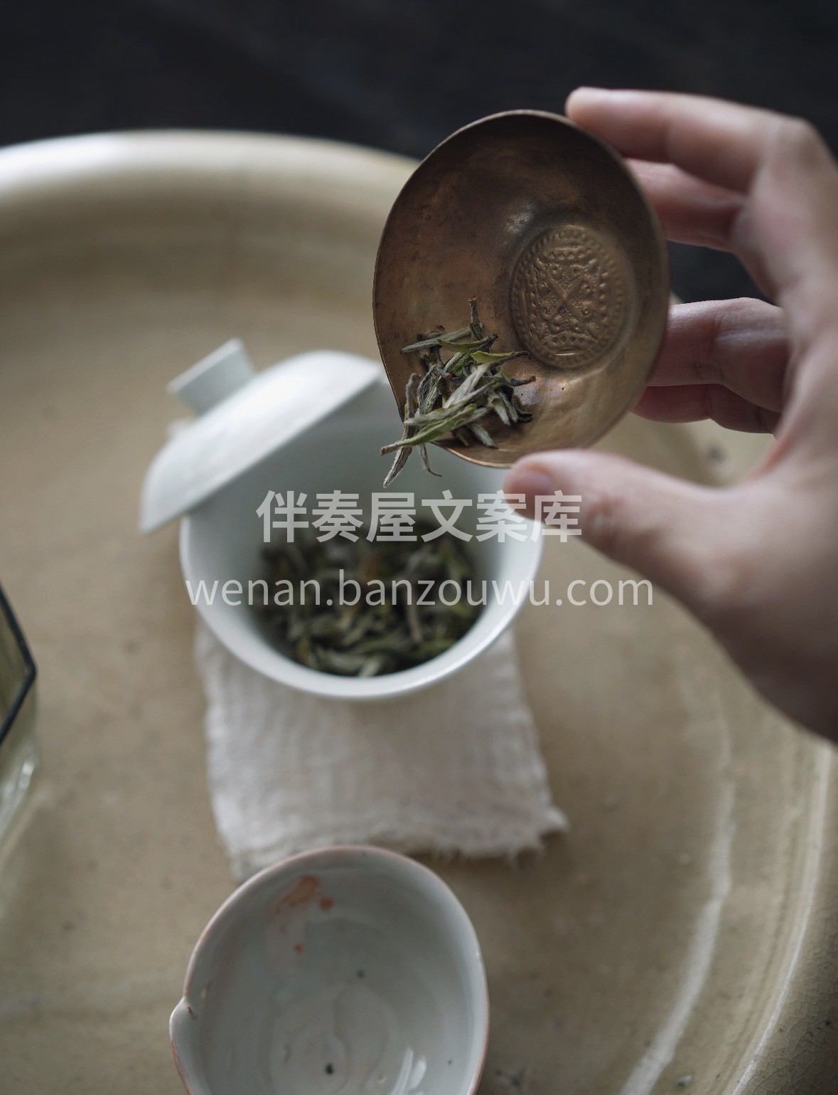 白茶里的温柔担当·白牡丹 不炒不揉，自然 配图1