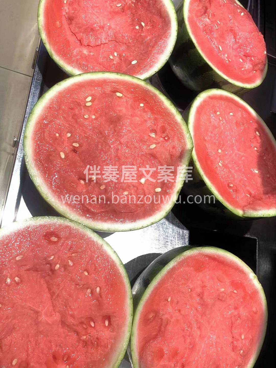 🌟最新到货🌟 8424西瓜🍉 翠绿带纹， 配图1