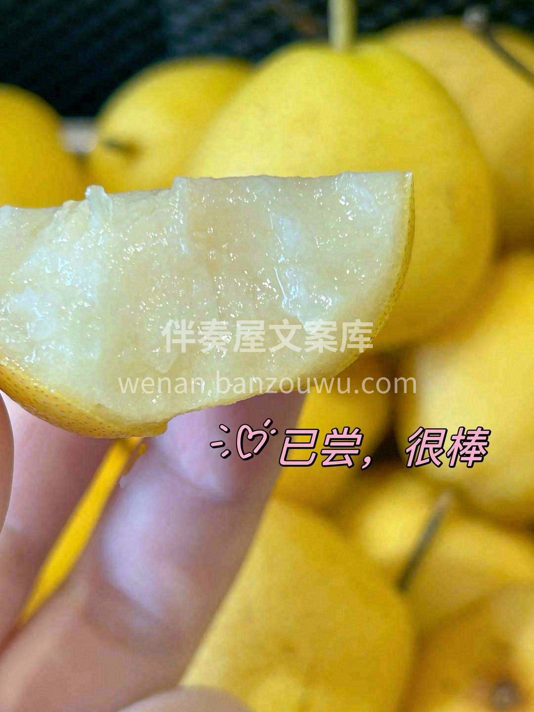 南果梨，辽宁鞍山特产🍁！ 秋天必须​在特 配图1