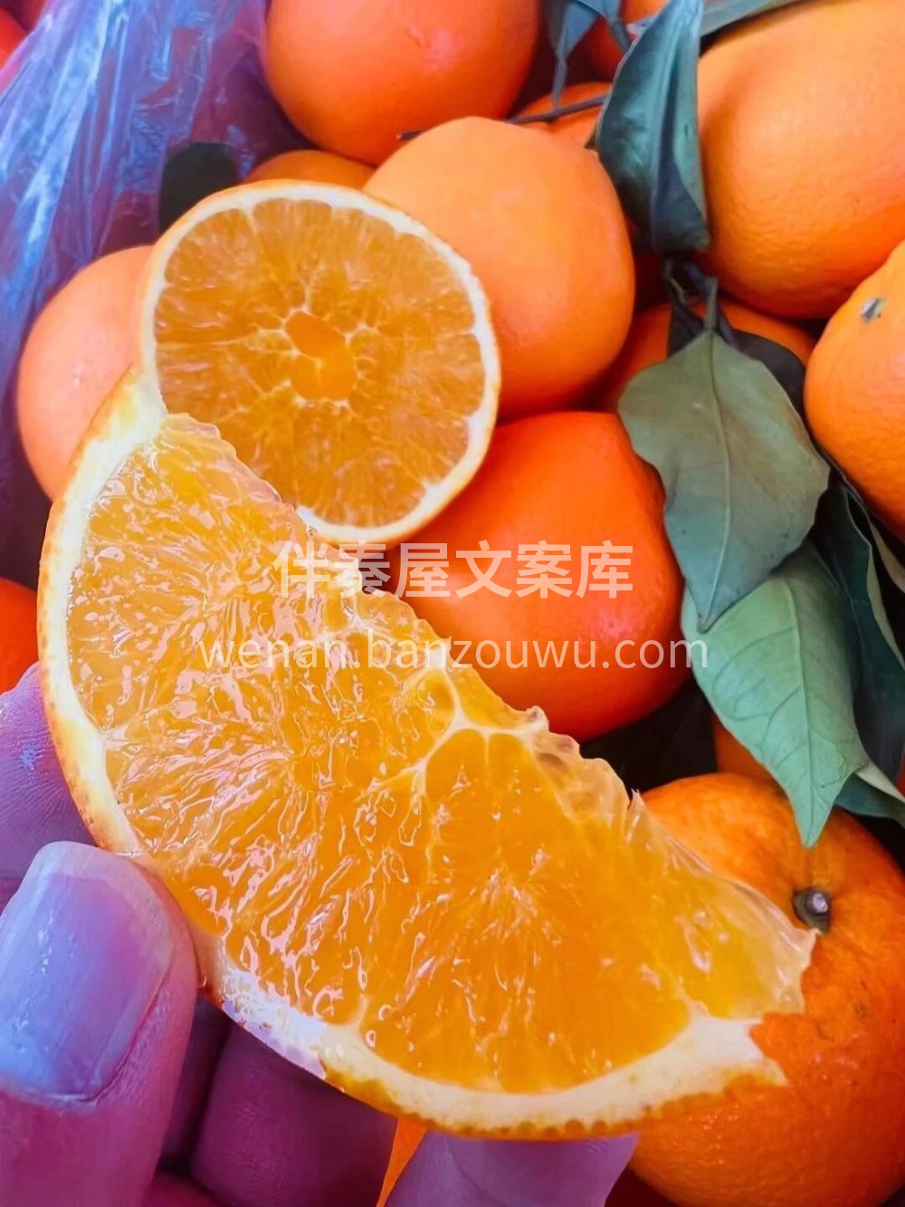蜂蜜橙💚当季最好吃的蜂蜜橙🍯，没有之一， 配图2