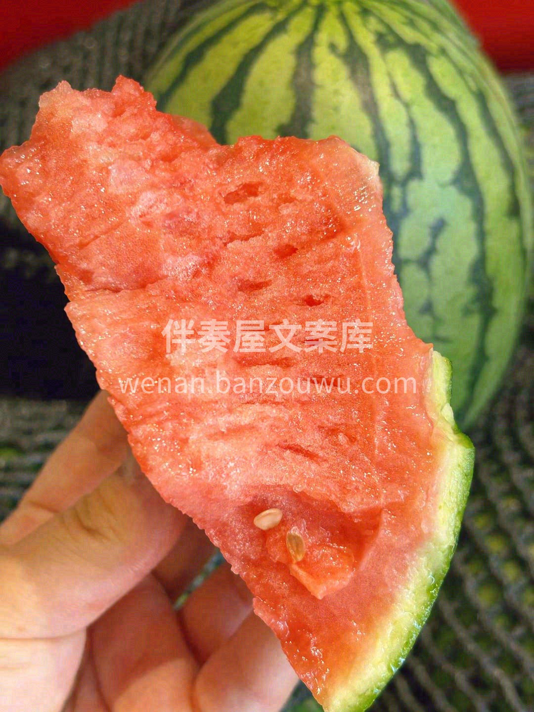 ✨果皮薄肉酥脆，甜到瓜皮 ✨甜丝丝，水汪 配图1