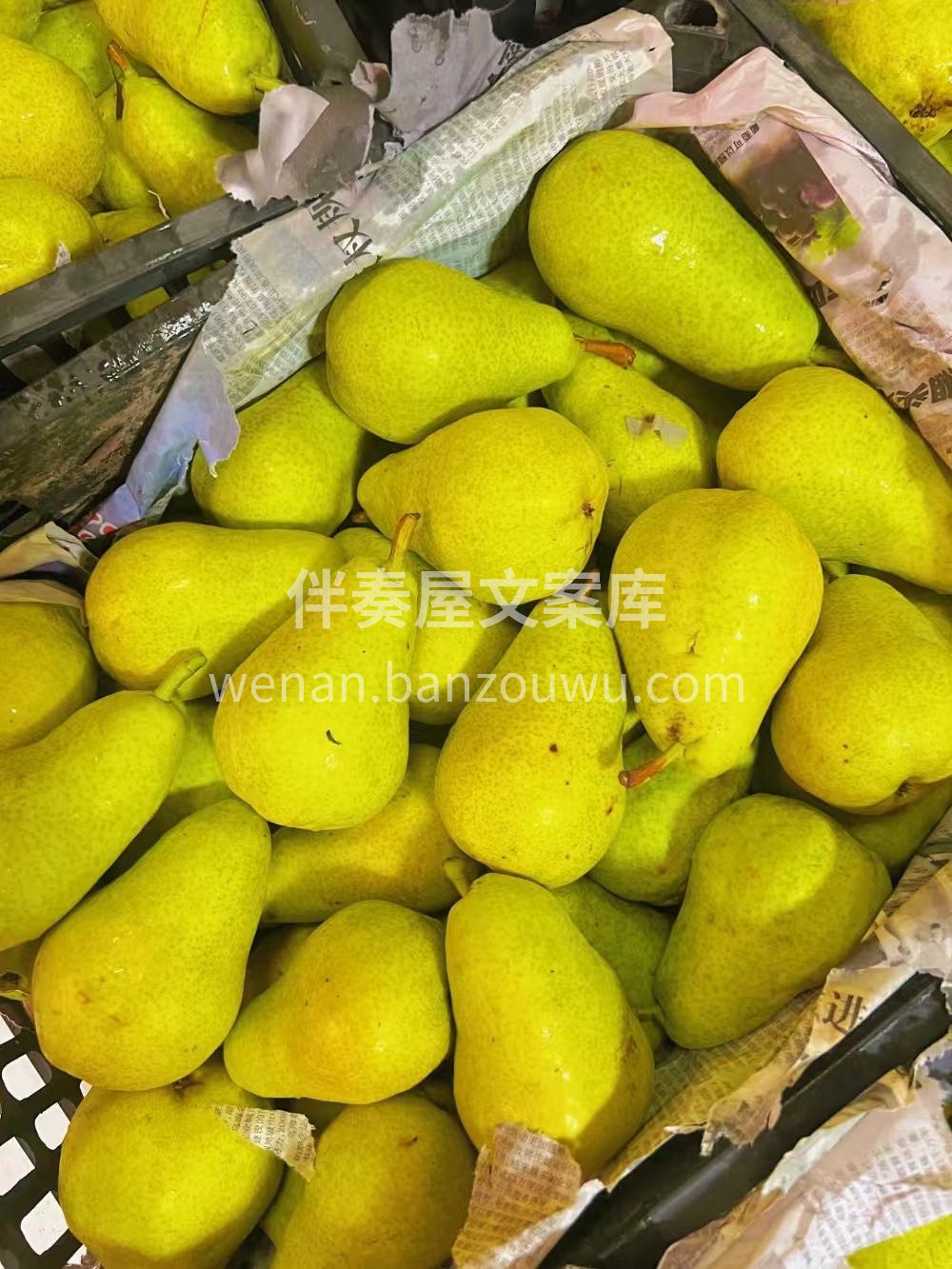 🍐💧 香梨：我是 “润喉小卫士”🛡️ 脆 配图3