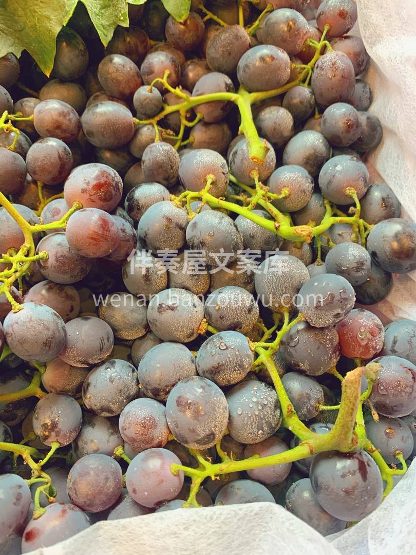 🍀闷热的天气 你是否觉得头晕脑胀？四肢无 配图2