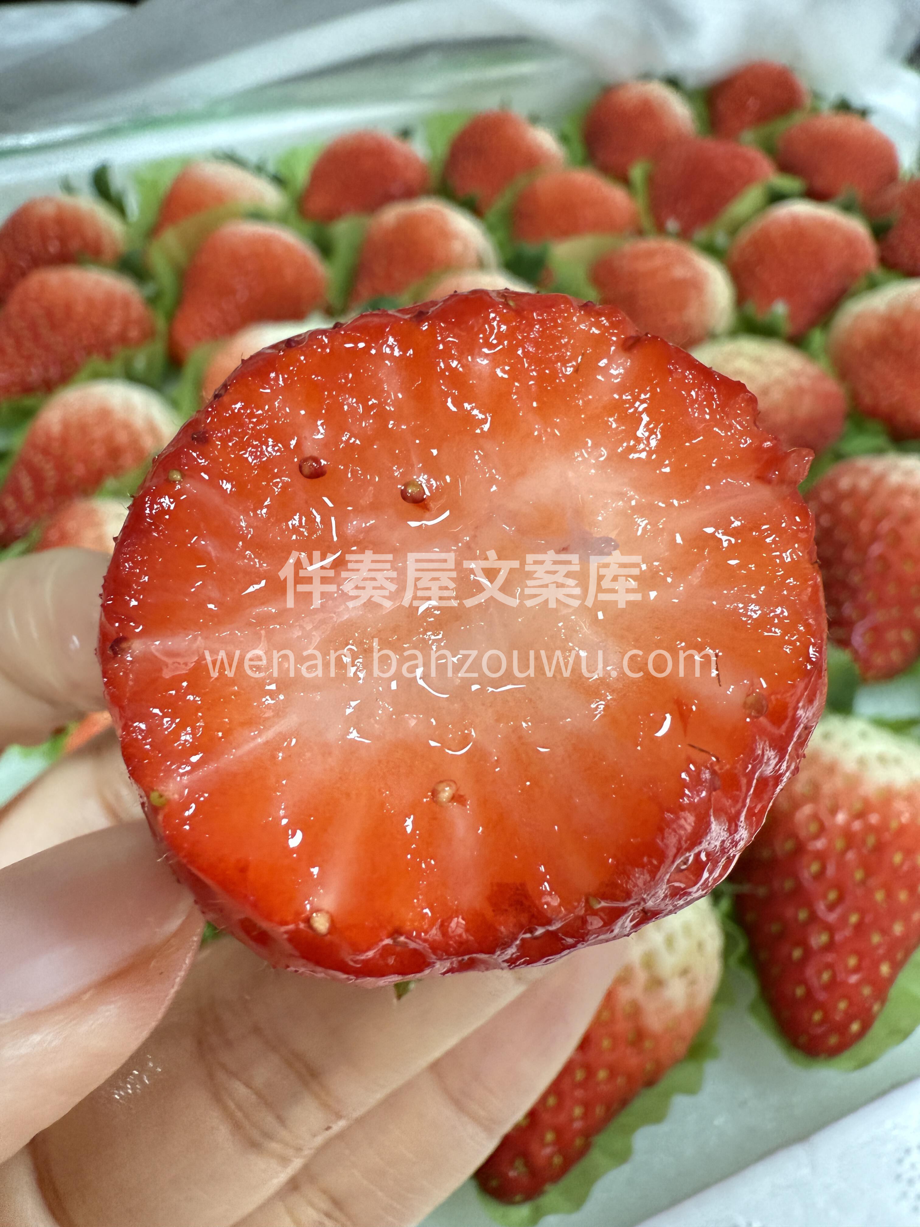 ✨红颜草莓尾季抢鲜！ 红艳饱满香气浓🍓  配图1