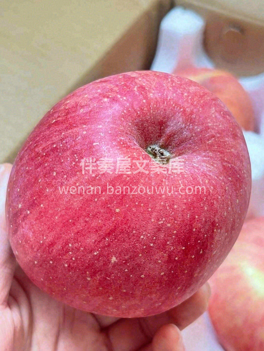 🍎红色的果面让人垂涎万分，未见其肉，先闻 配图3