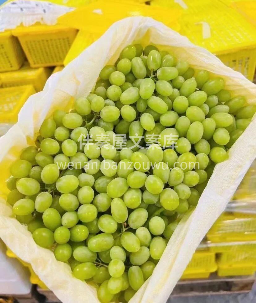 🍇新疆马奶提新疆葡萄甲天下，雪水的滋润， 配图3
