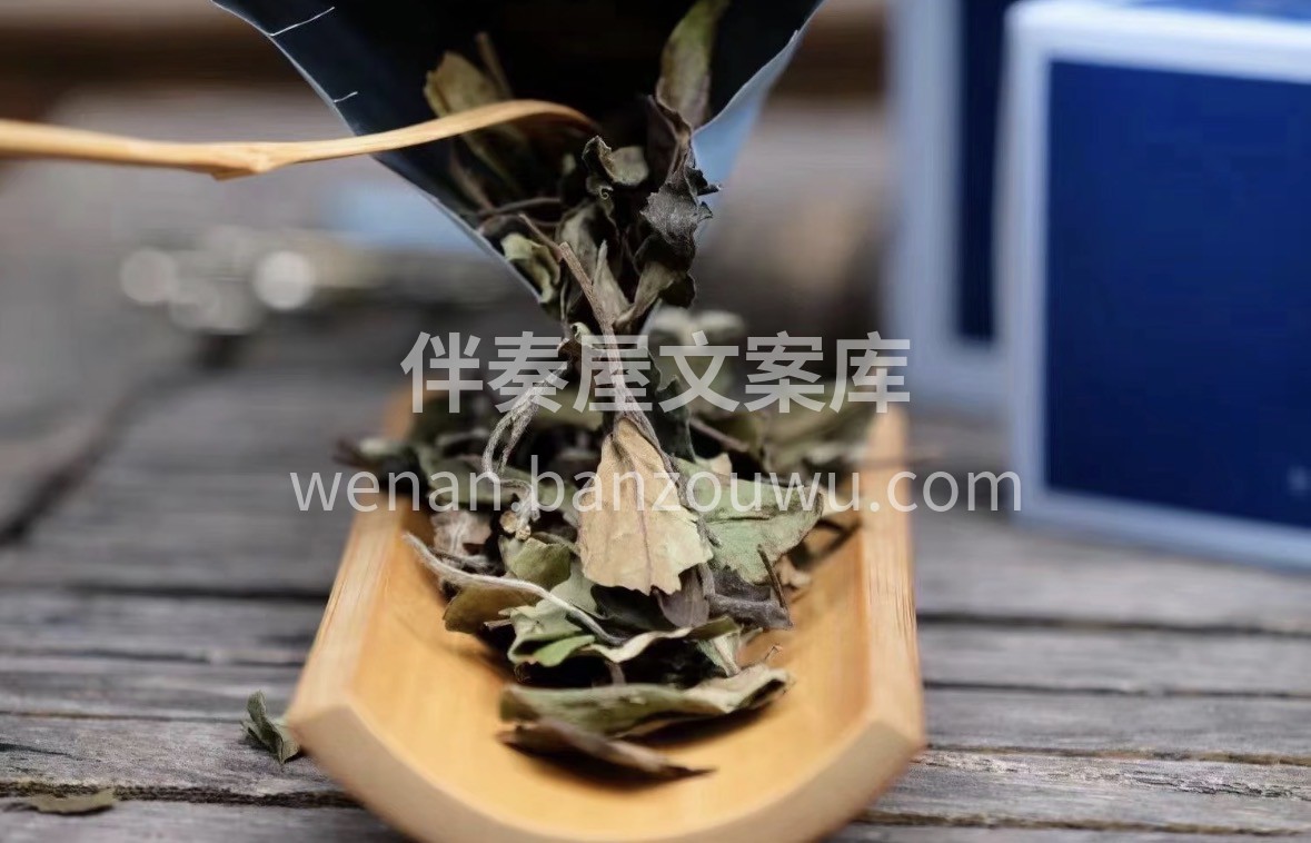 福鼎核心产区老寿眉，紧压成饼藏岁月。陈年 配图1