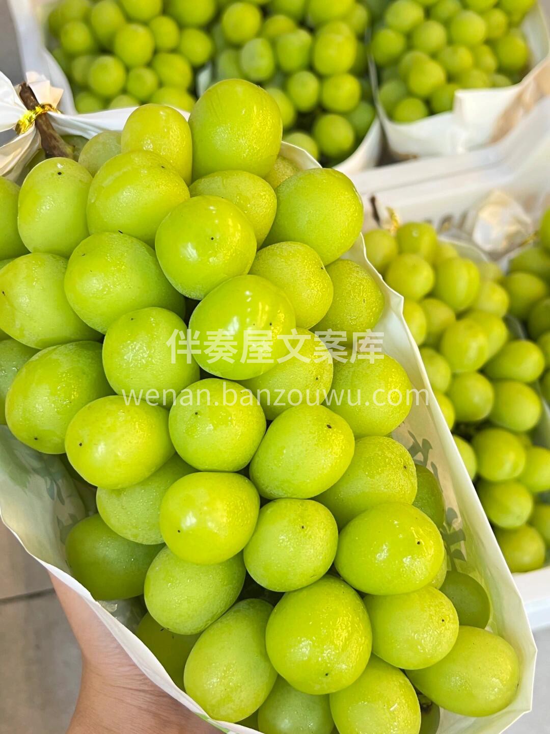 又脆又甜🔥特级阳光玫瑰｜晴王🍃 自带一股 配图2