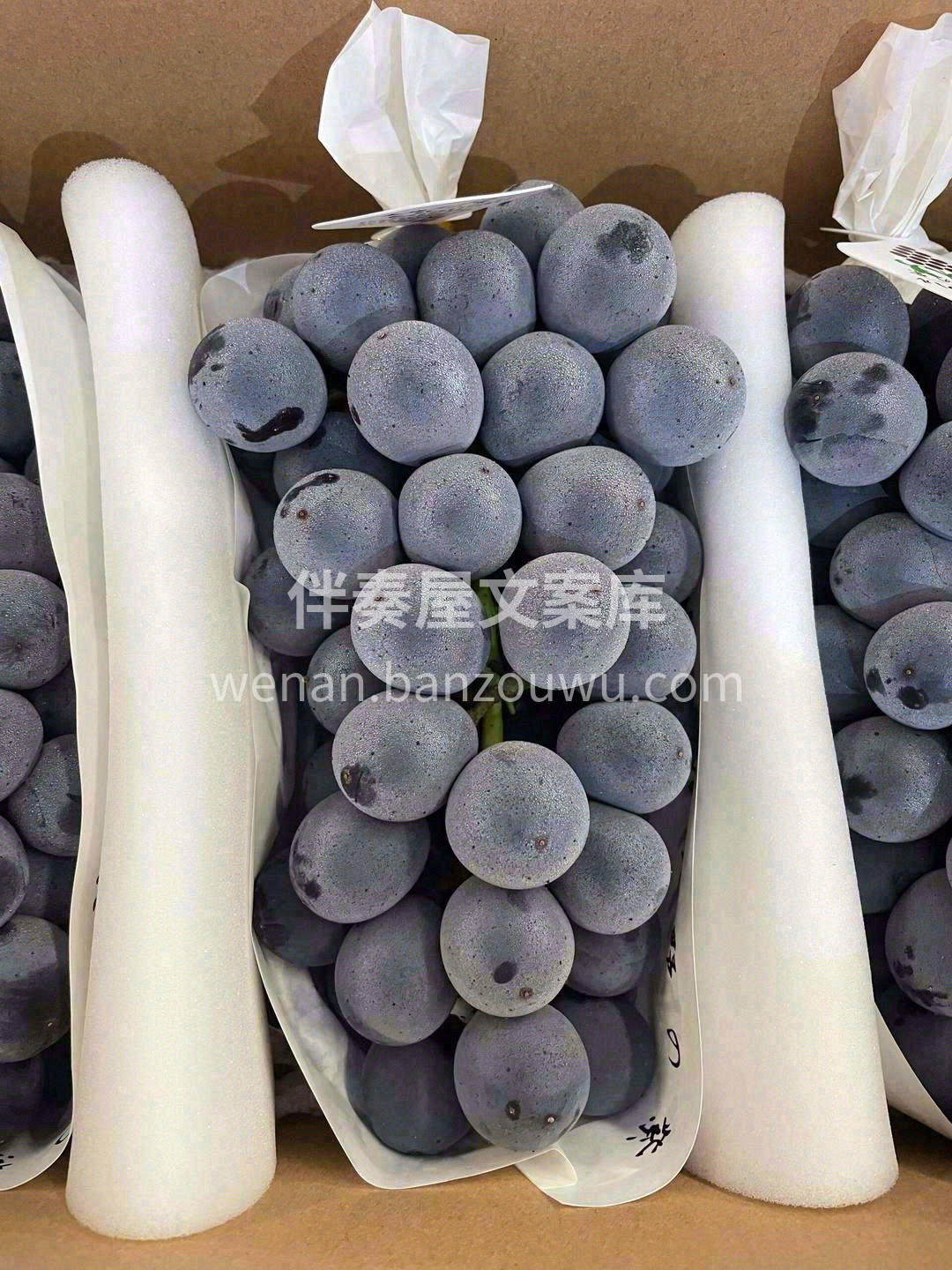 蓝莓和葡萄的混合体🍷，富含丰富花青素🍇， 配图2