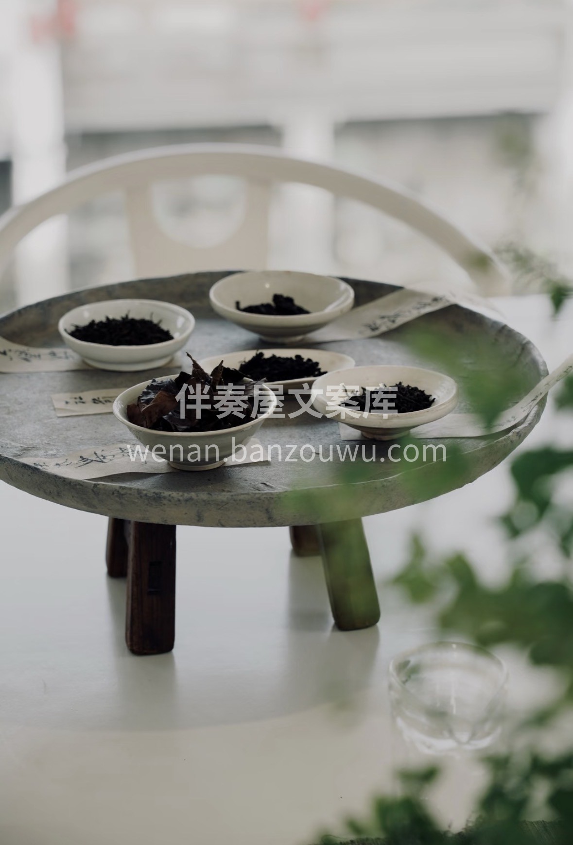 ✨乍暖还寒三月天，最念六堡暖茶汤。醇和顺 配图2
