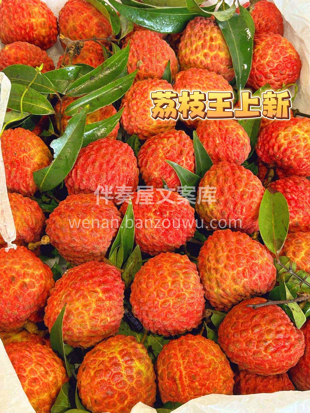 每颗宛若红心💓，饱满鲜红 别说吃了，拿在 配图2