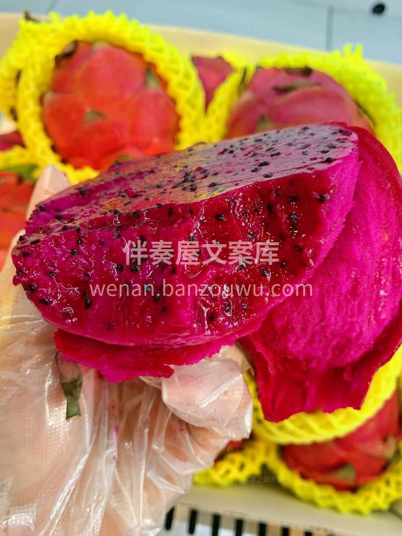 刺是软的，心?是红的，我从不否认我的虚张 配图2
