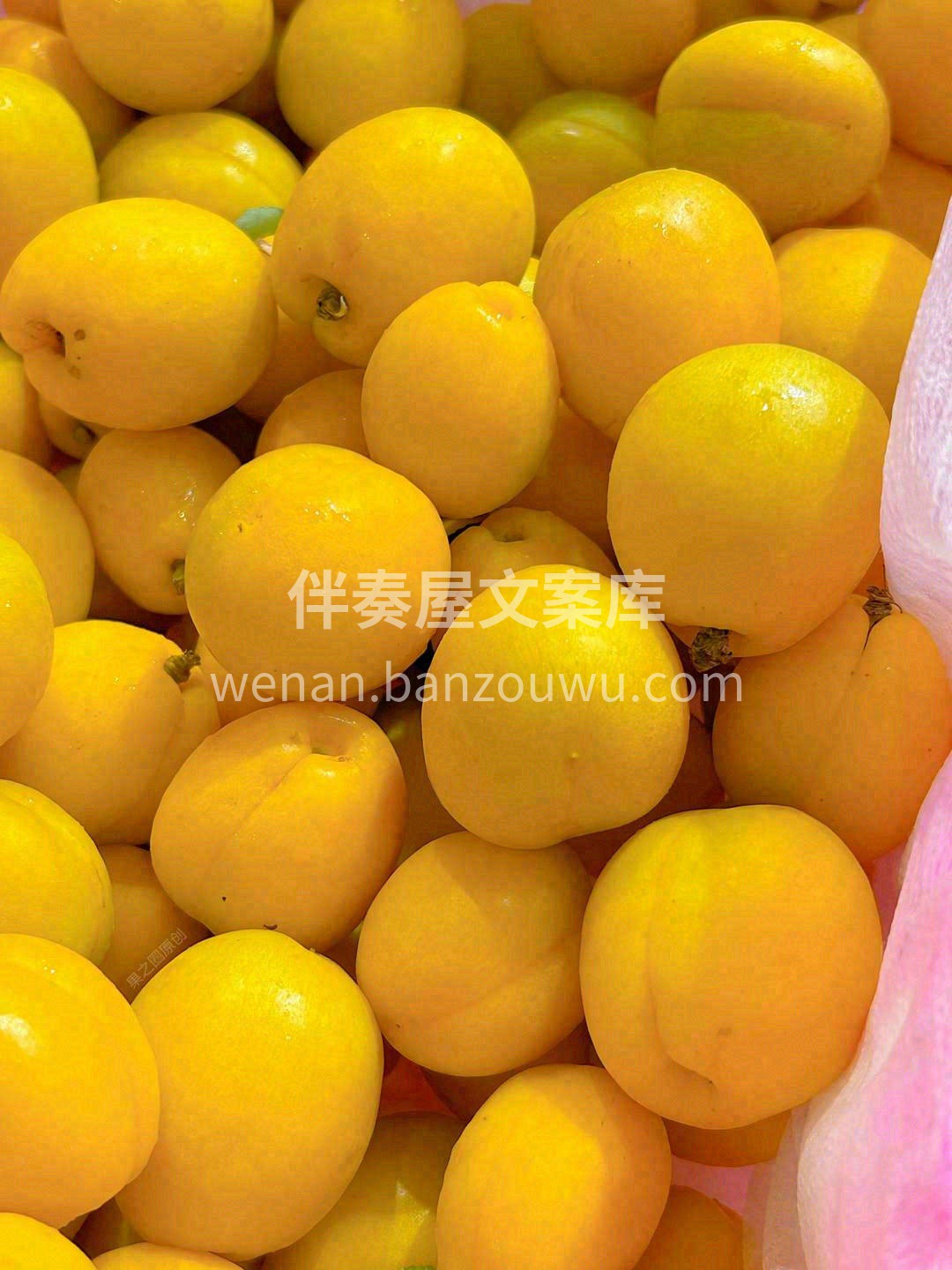 新疆虽远，“酒香不怕巷子深 ”👉 女神💃 配图3