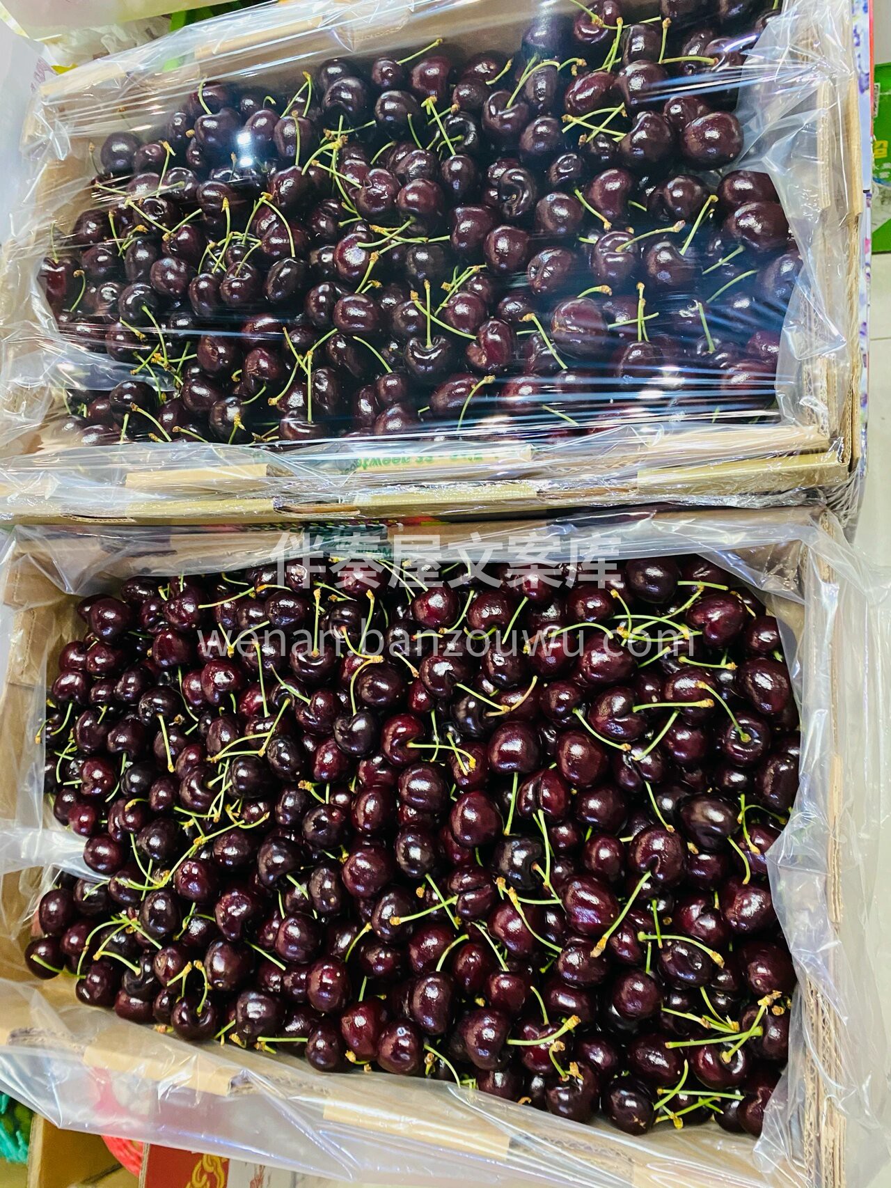 💕这个季节最难拒绝的车厘子🍒 桑缇娜车厘 配图3
