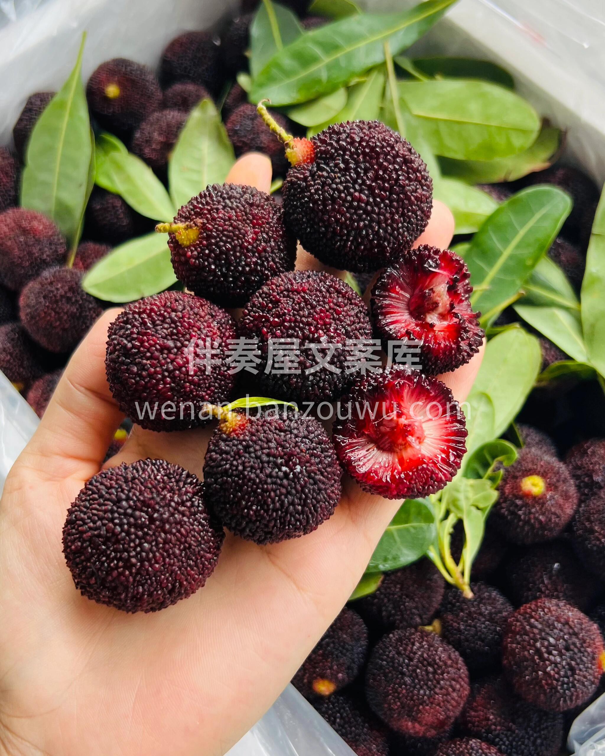 初夏的季节🔆 ，来一颗酸甜爽口的“果汁炸 配图2