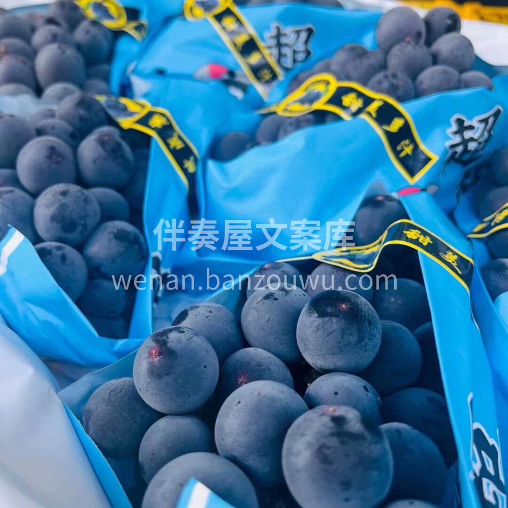 超大颗巨峰葡萄🍇大果粒·巨峰葡萄🍇酸酸甜 配图3