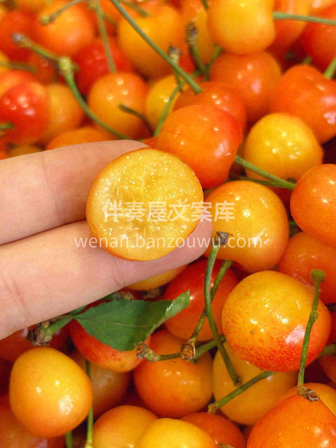 水晶般的感觉💎，软甜、细腻，纯粹的樱桃味 配图2