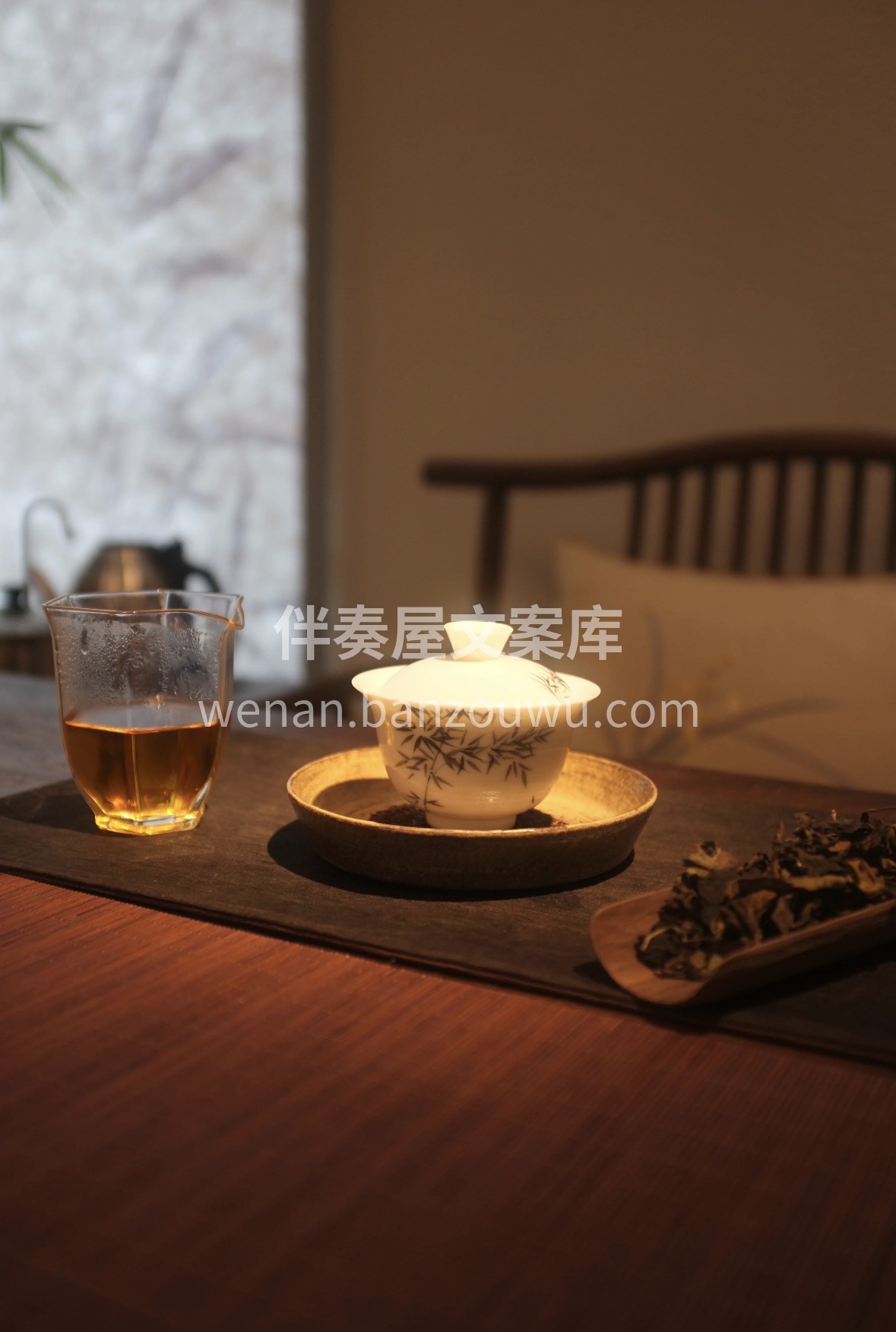 今日茶荐｜倚邦白茶：一口喝下云南古树的清 配图2