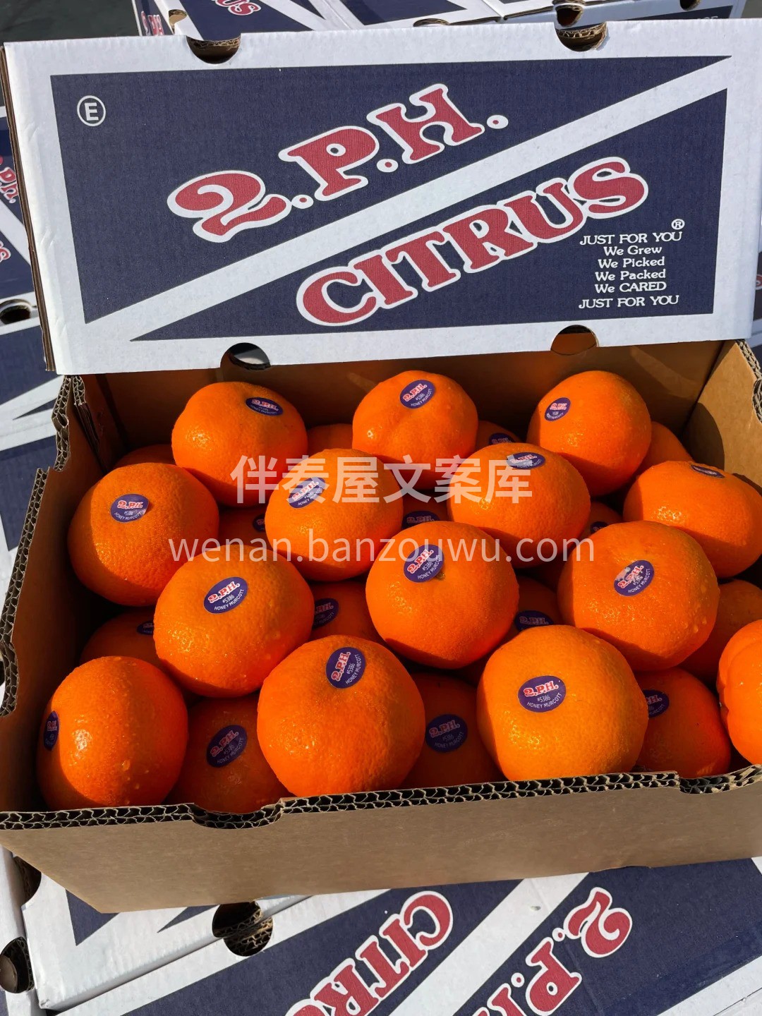 极品就是极品👍太好吃啦✨✨✨橘子中的爱马 配图3