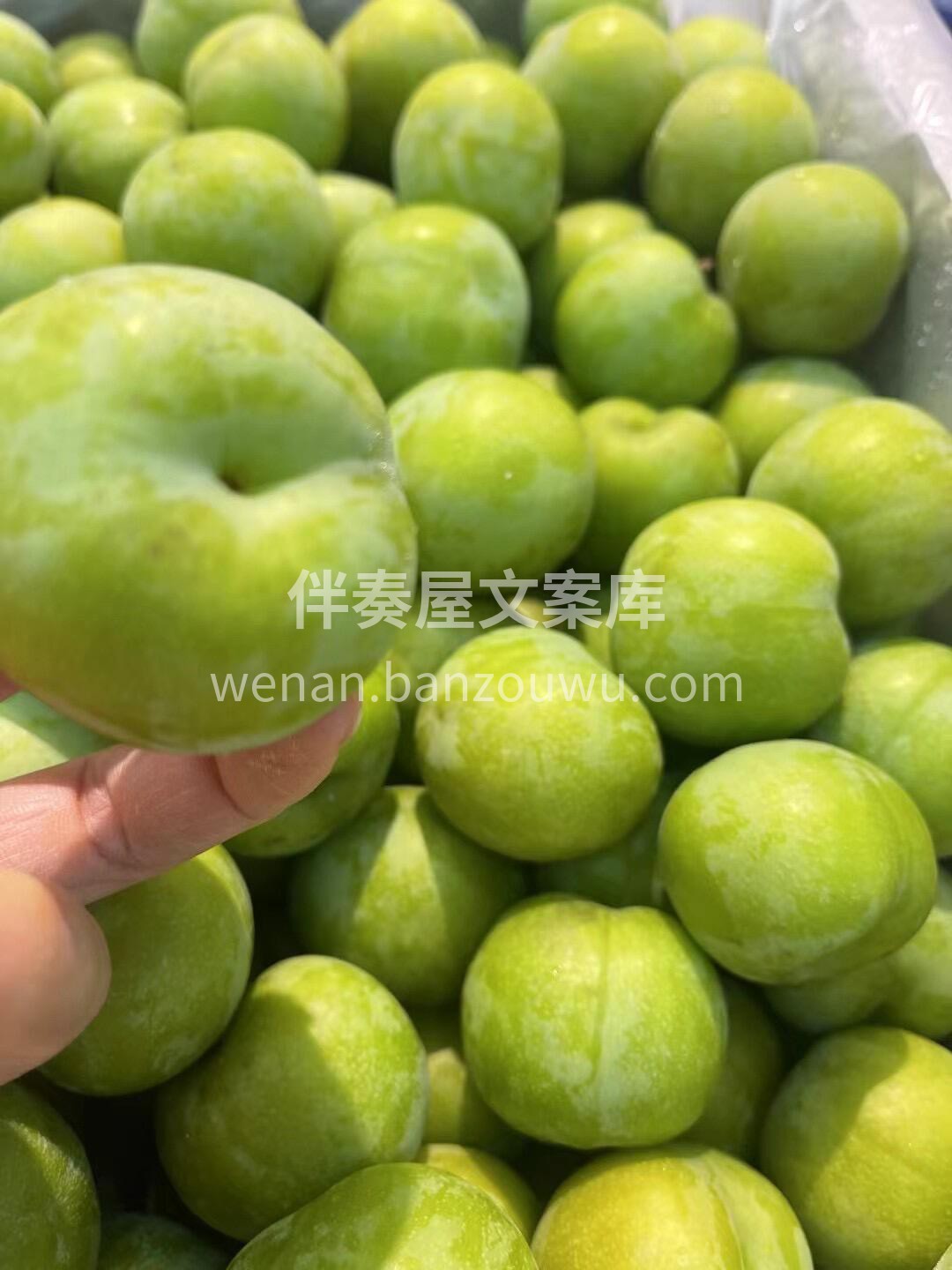 这蜂糖李也太上头了😋李中之王👍🏻👍🏻 👉 配图3