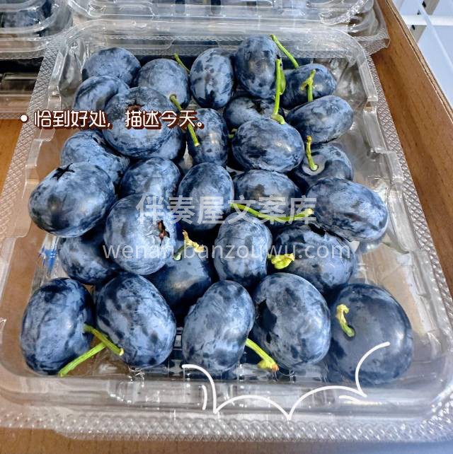 👉当季限定💥🆕纯甜蓝莓，颗粒新鲜，满满的 配图2