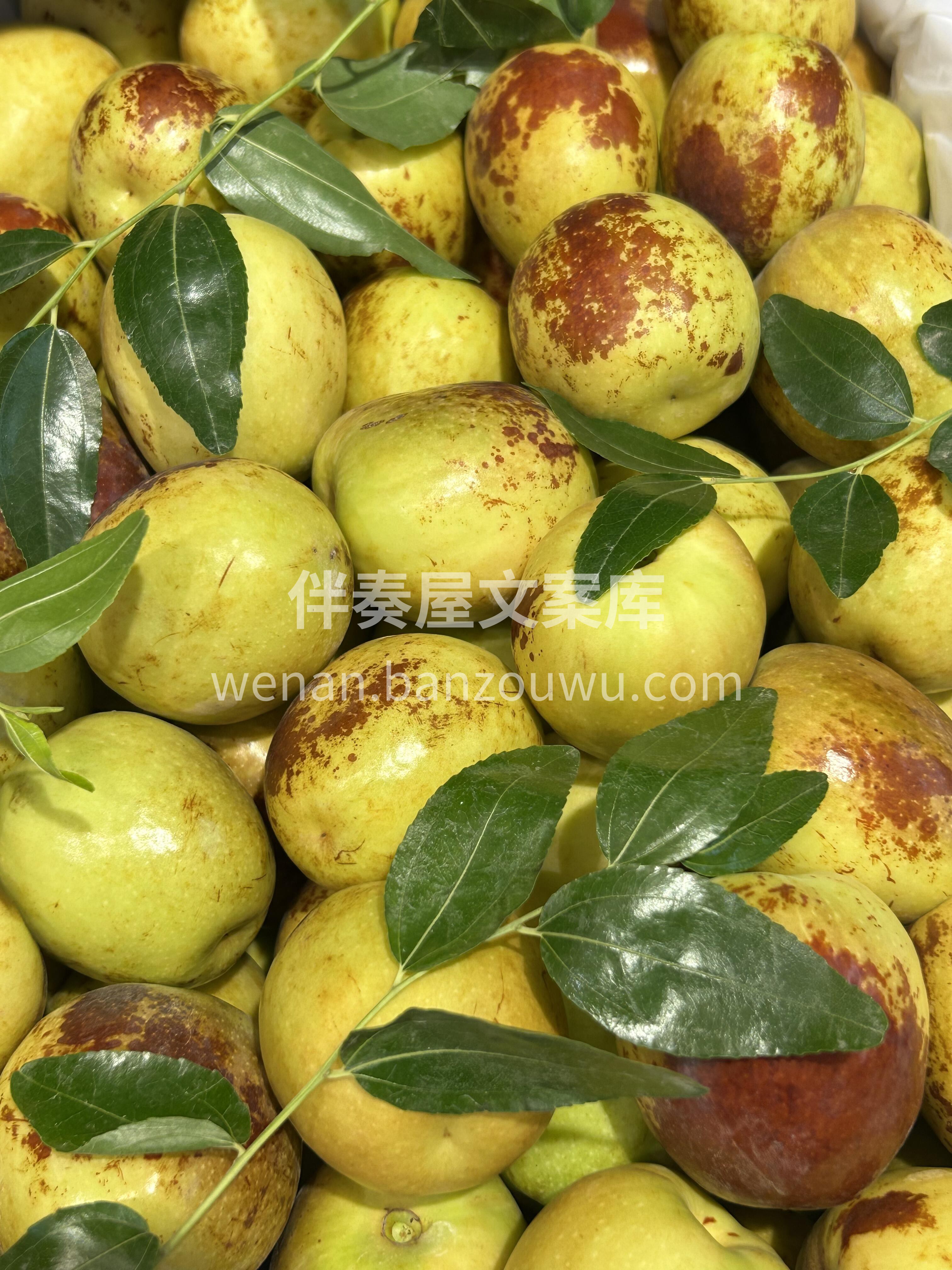 ☘️嘎嘣脆的冬枣✨ 炎炎夏日也挡不住的甜 配图3