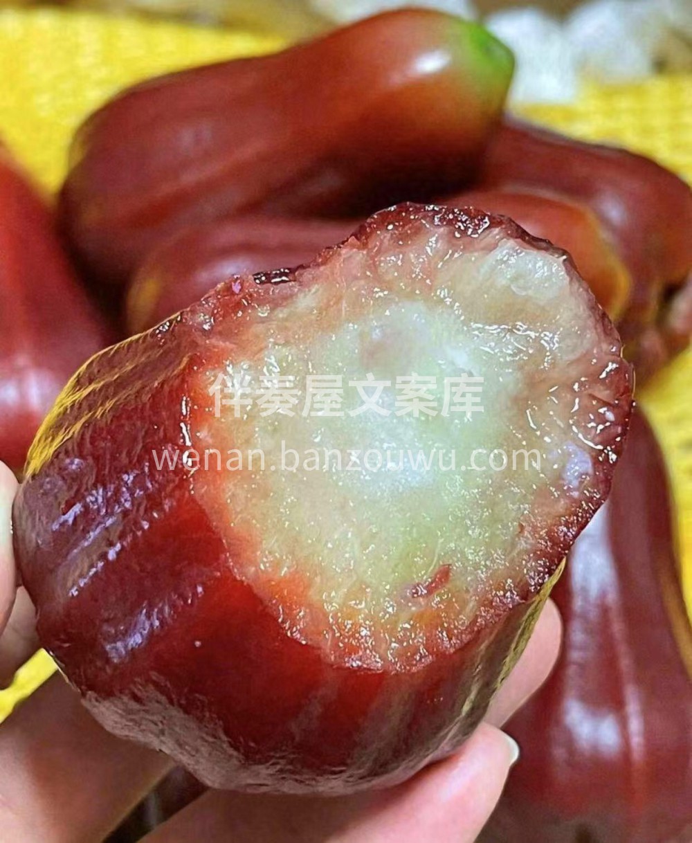 别错过👉掌心莲雾🍎红润水灵、小巧可爱，嘎 配图2