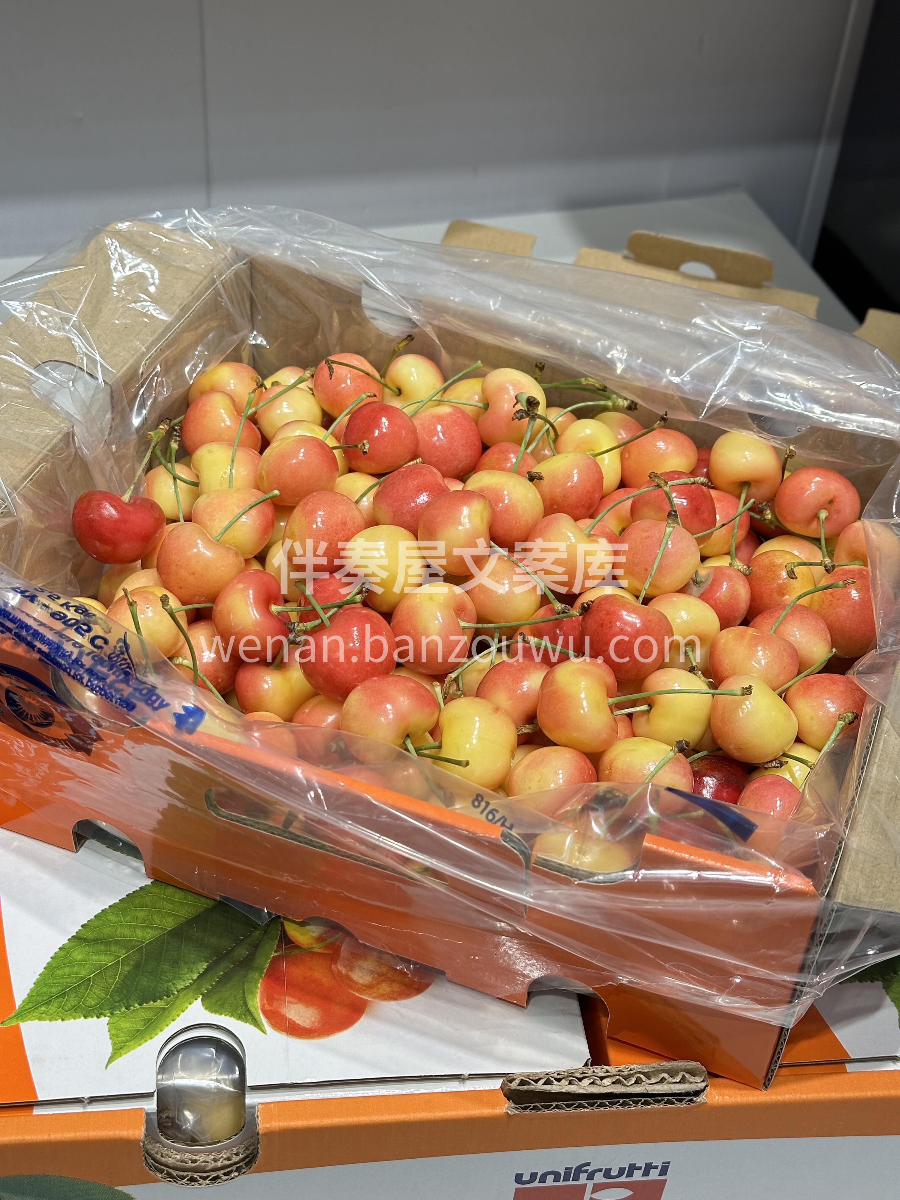 🍒雷尼儿樱桃！🍒 黄底红晕像小太阳，果肉 配图3