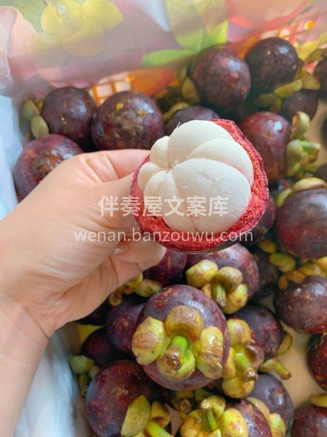 夏‬季‬人‬气‬王‬🔥‬山‬竹‬ 滑嫩沁 配图1