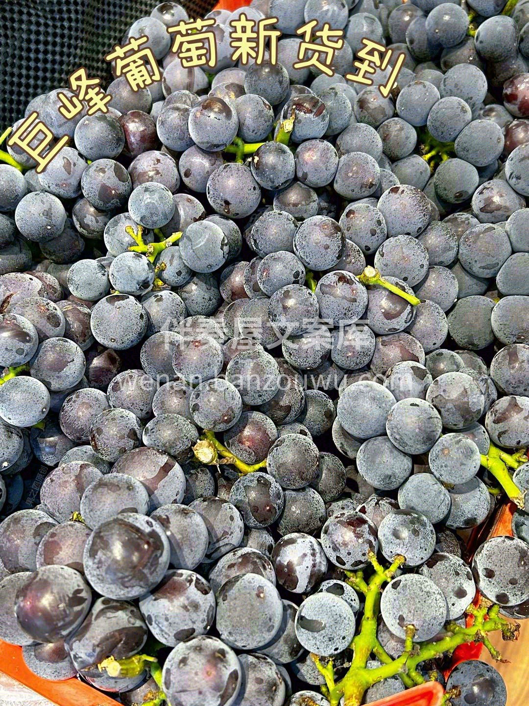 一份坚守的味道🙋 一份淳朴的葡萄香🍇 葡 配图3