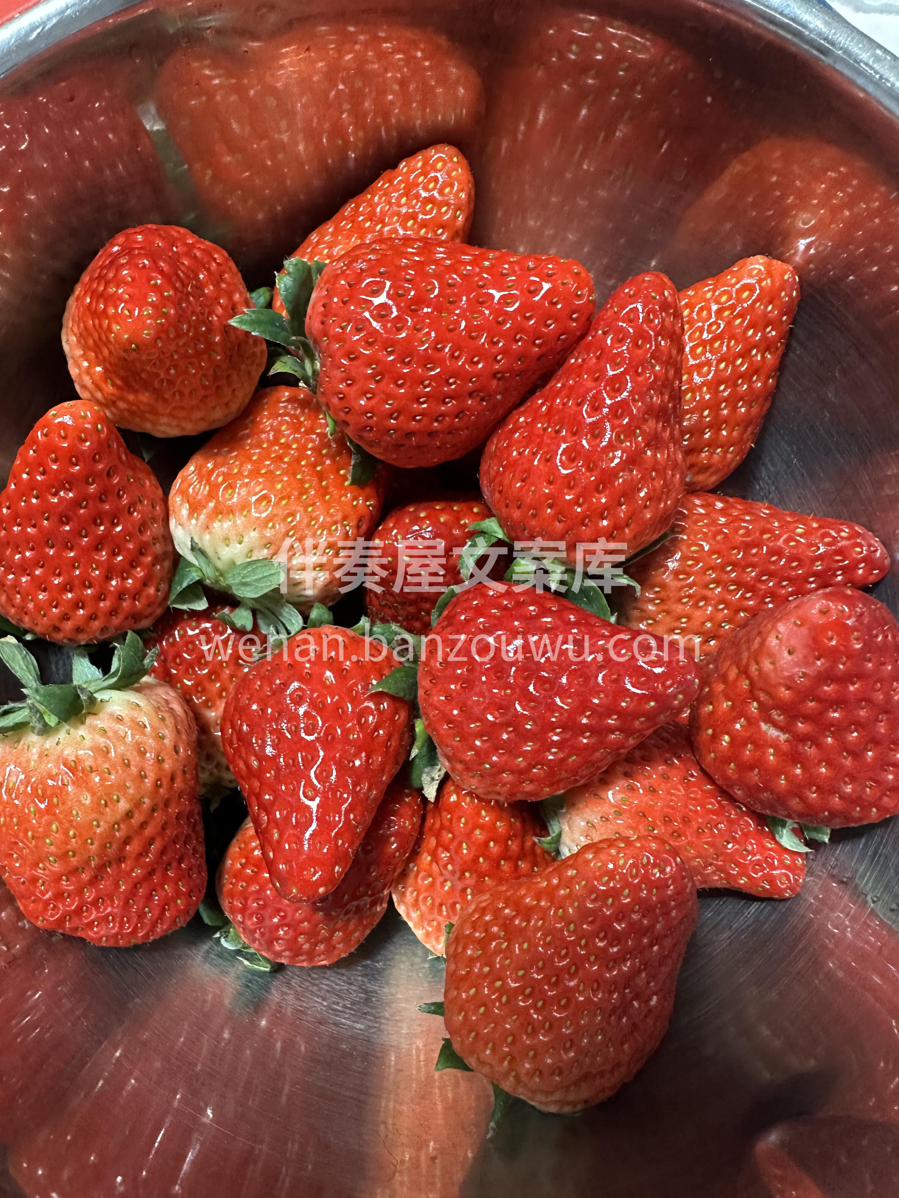 🍓草莓差不多尾季了‼️ 但这批状态还在线 配图3