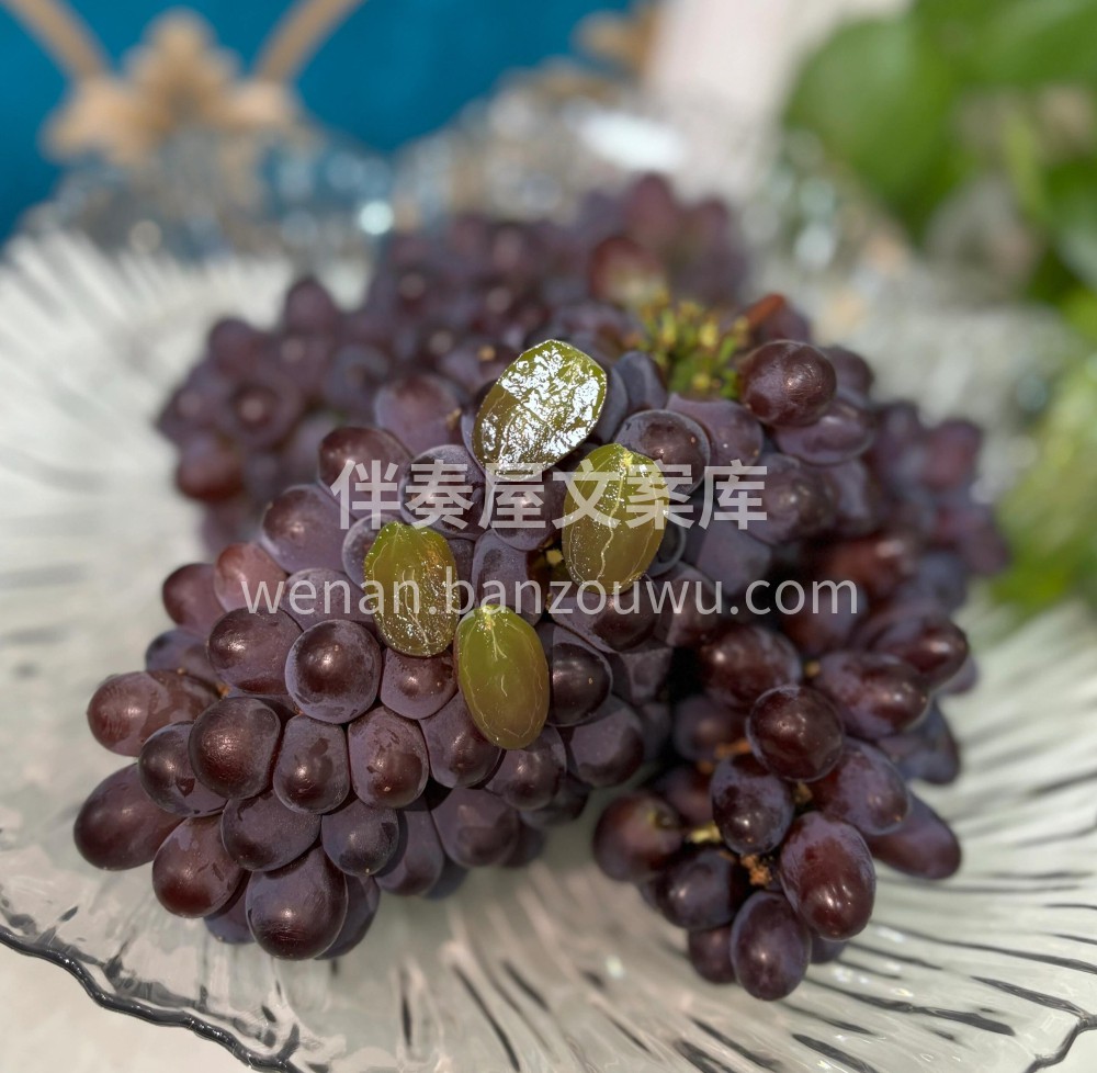 💥茉莉香葡萄🍇zui有格调的葡萄🍇——云 配图3
