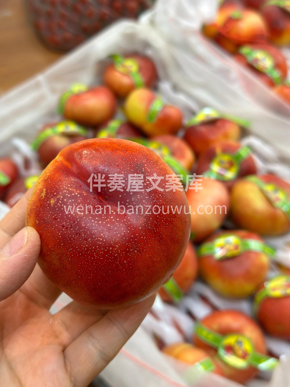 各个带麻点的黄肉油蟠桃真的是太甜了🍭 🐼 配图2