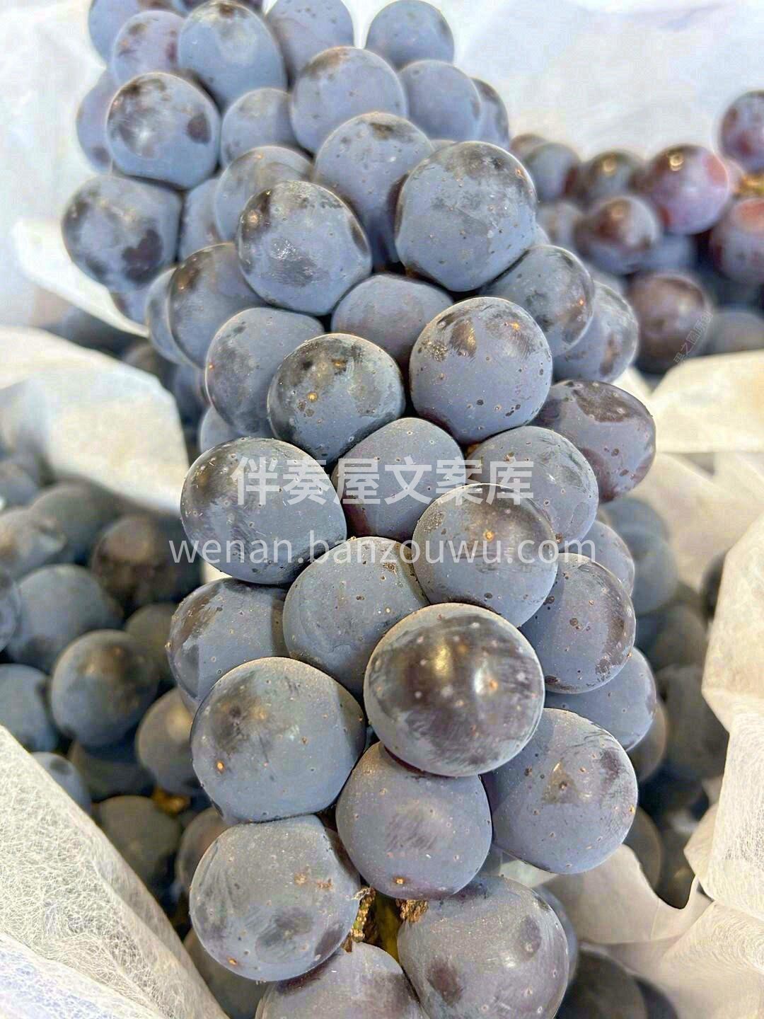 🍇 夏黑葡萄来啦！ 果粒饱满，果肉脆甜， 配图3