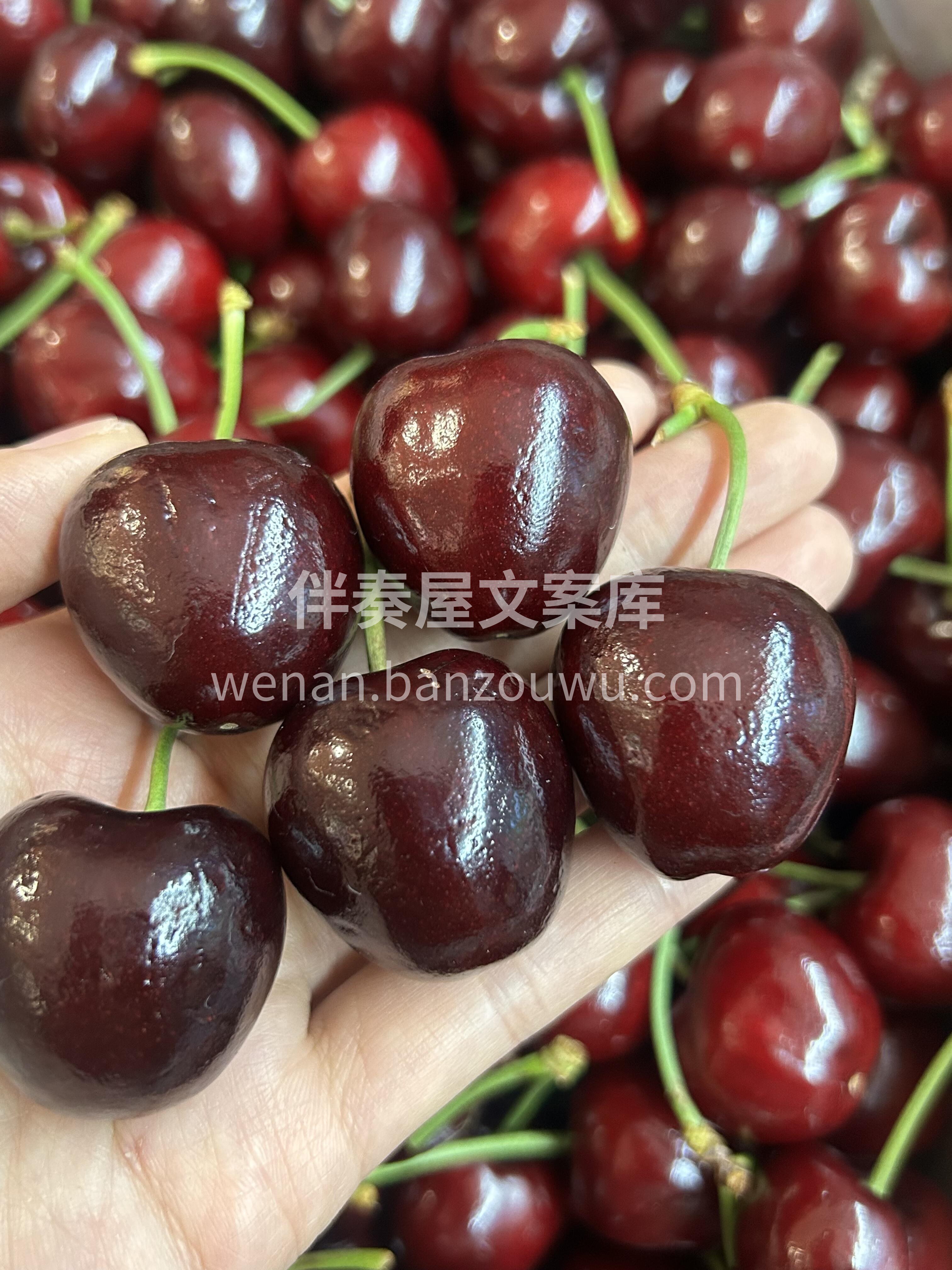 甜滋滋的空运桑提娜🍒 补铁补气血，一定要 配图1