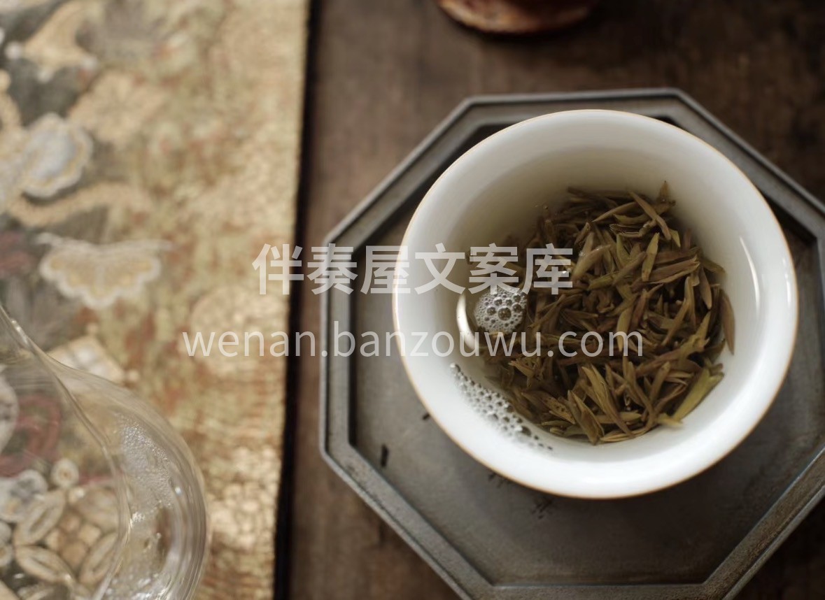 🍃一年一采·荒野黄芽 生于云雾深山，长于 配图2