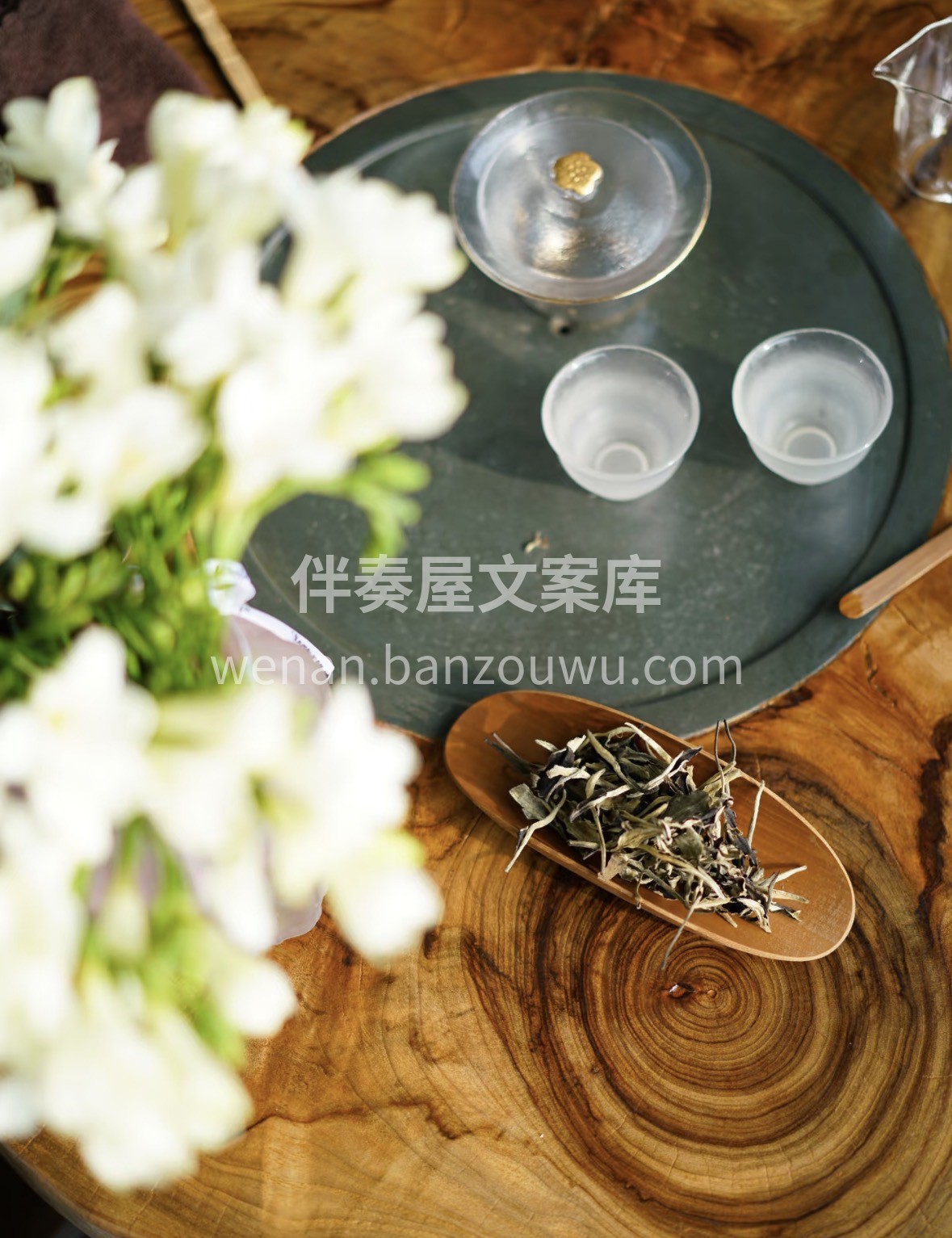 冬日围炉正当时🔥 一杯福鼎白牡丹，毫香蜜 配图1