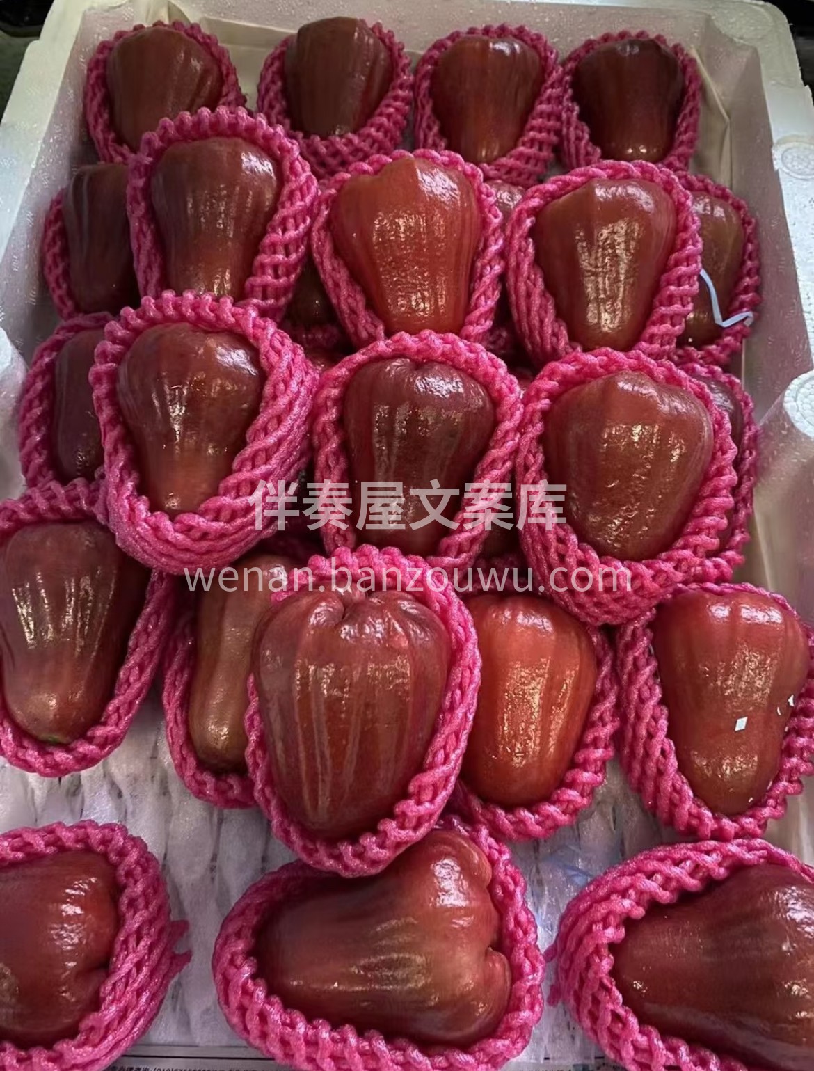脆甜莲雾新鲜上架‼️ 入口自带清泉般的脆 配图3