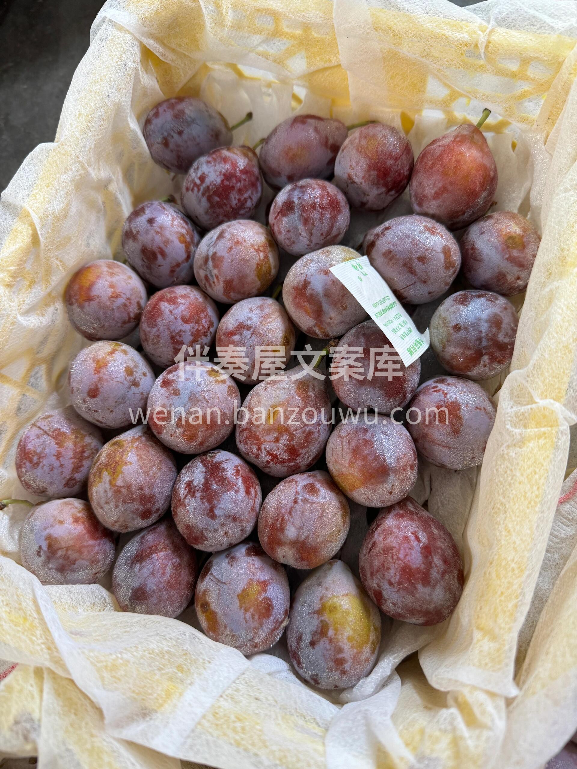 西梅的甜美，是生活中的小确幸～ 果肉紧实 配图3