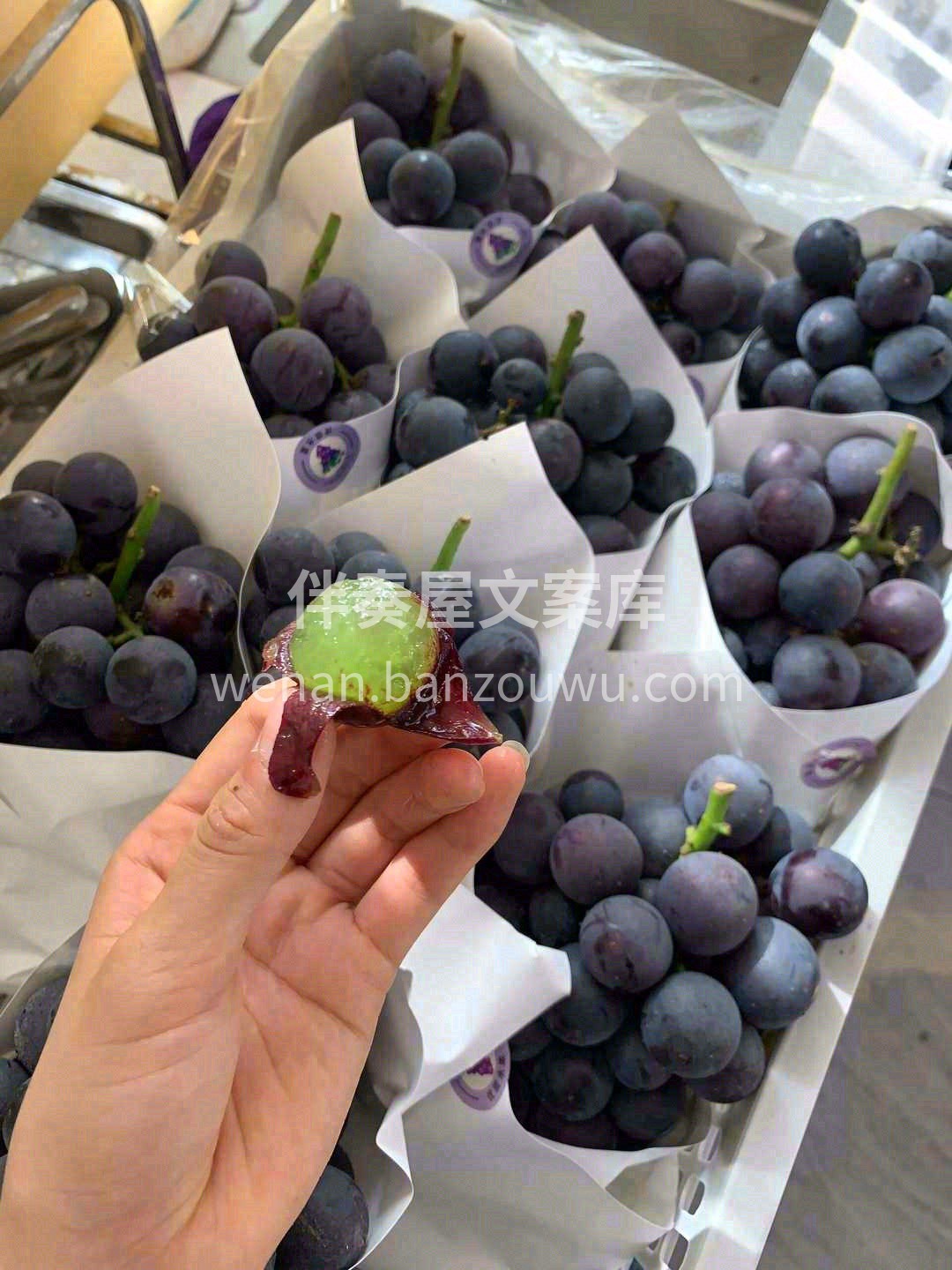 巨峰葡萄——正儿八经小时的葡萄味🍇 一口 配图2