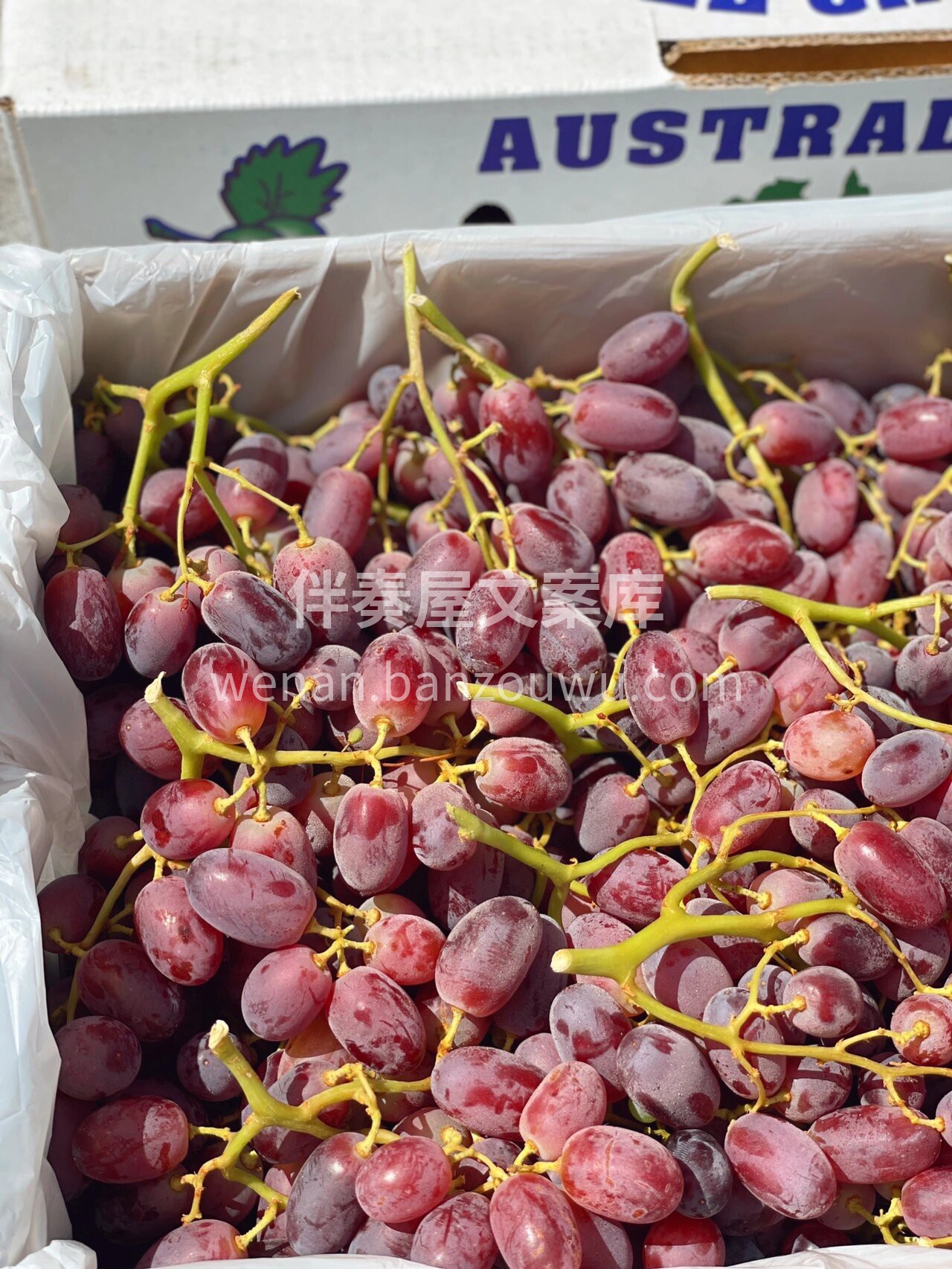 ?澳洲??无籽提? ☀️澳洲充沛的阳光打 配图1
