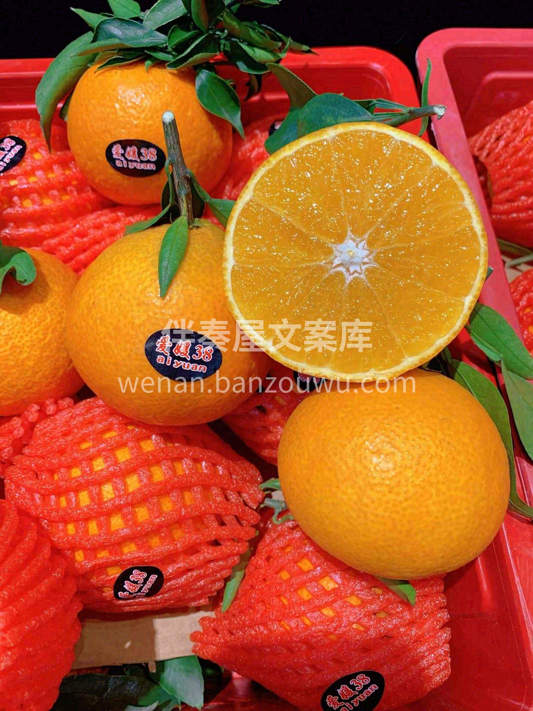 爱”我所爱❤️，“媛”来是你🙆‍！ 如果 配图3