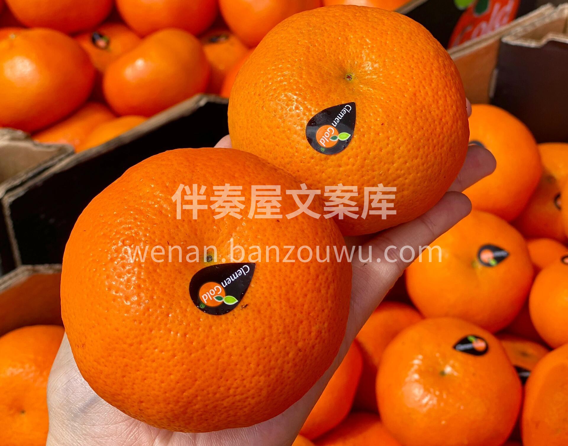 🍃🍃南非柯莱蒙蜜橘🍊到店❗ 还没剥开就闻 配图3